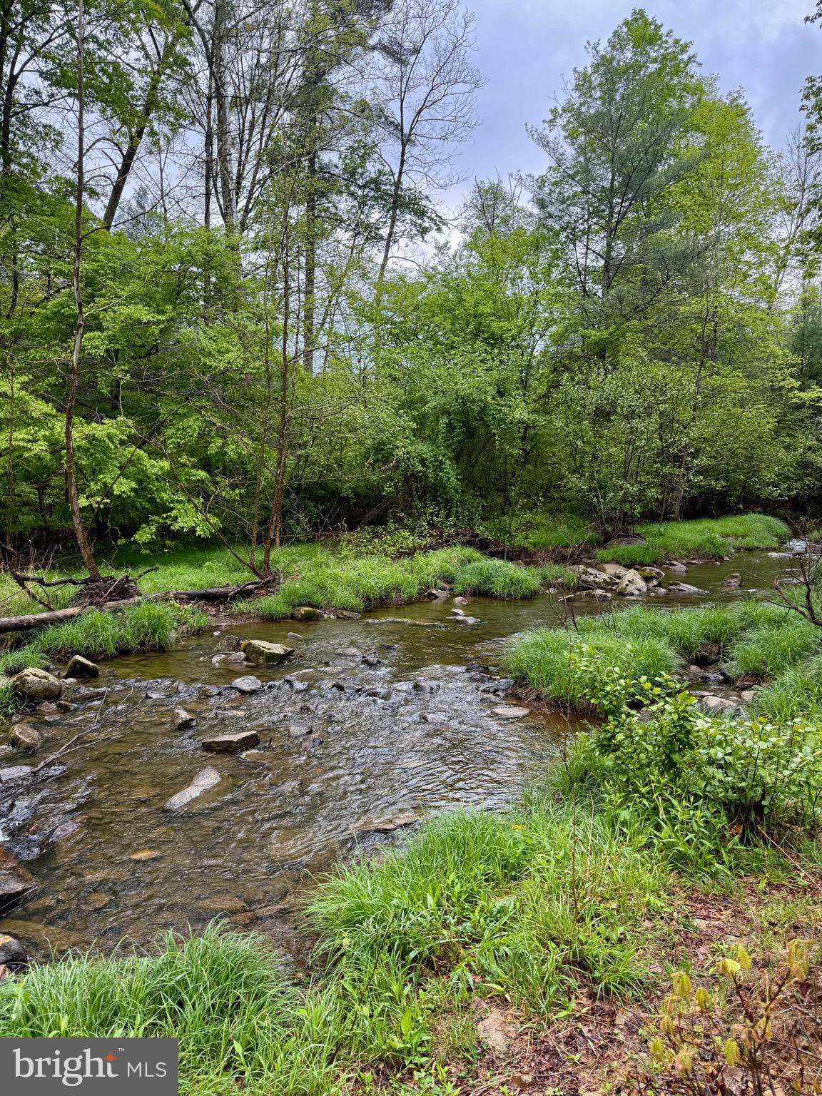 TROUT RUN FOREST - Land