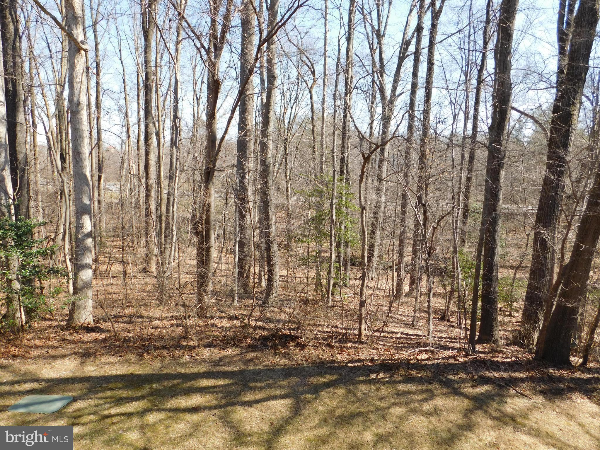 BURKE COVE - Residential Lease