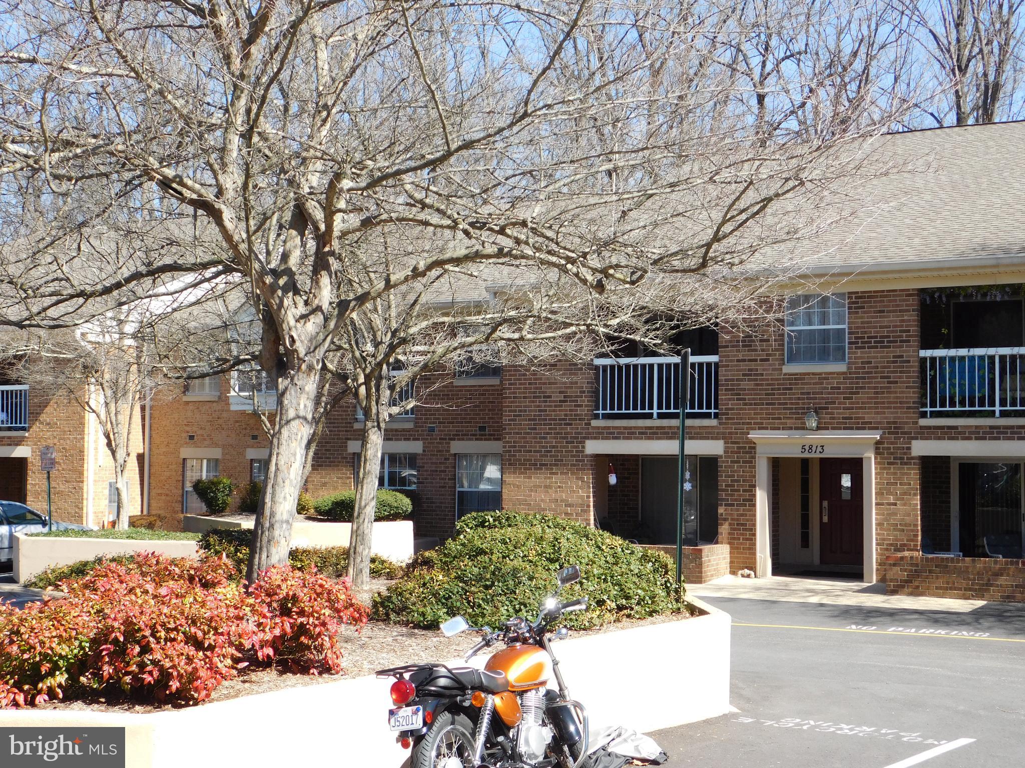 BURKE COVE - Residential Lease
