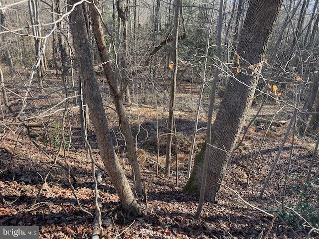 Buildable lot located in a waterfront community with access to beaches, fresh water lake, marina, clubhouse, pool, playground, and picnic area