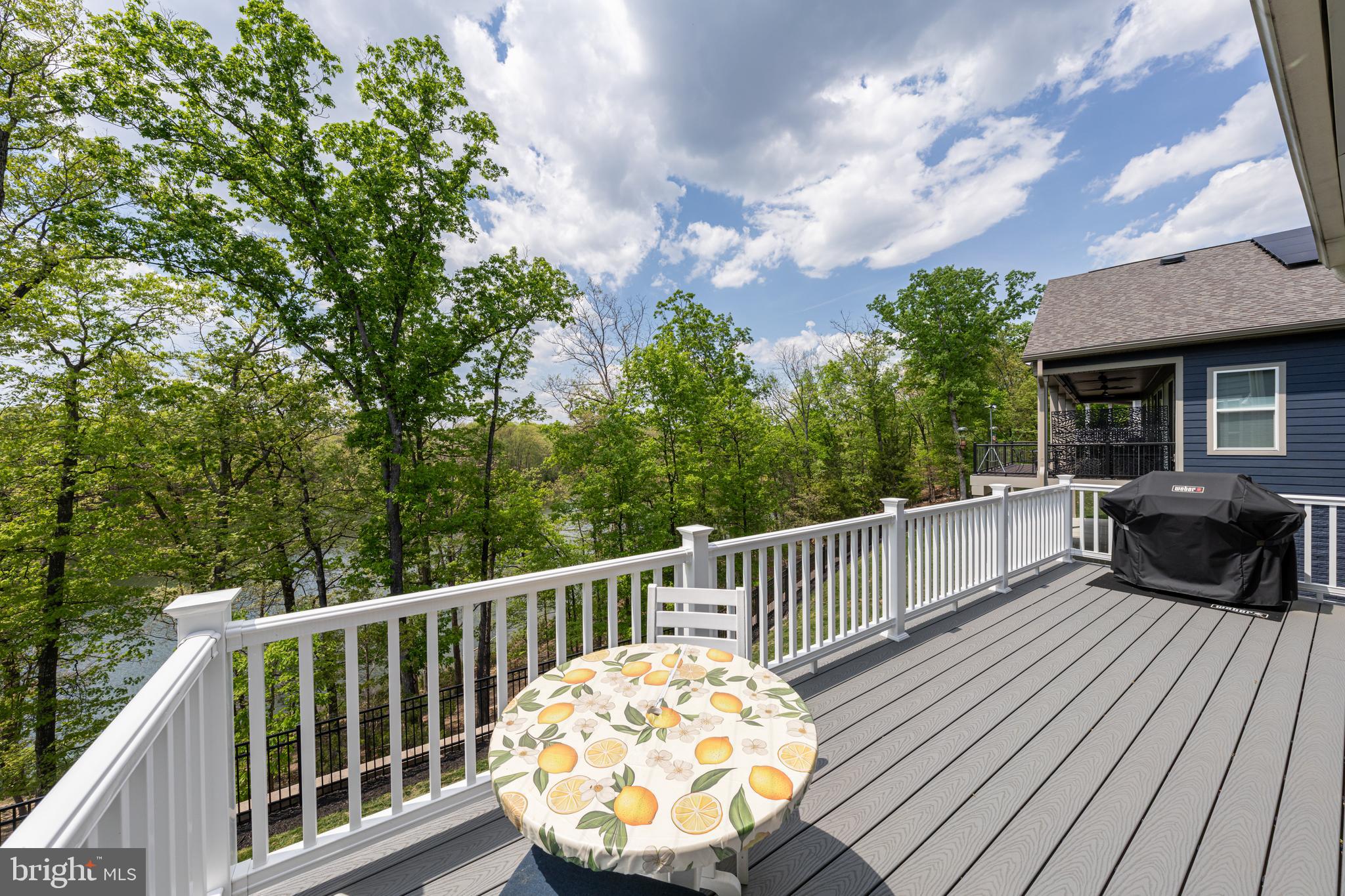 LAKE FREDERICK - Residential