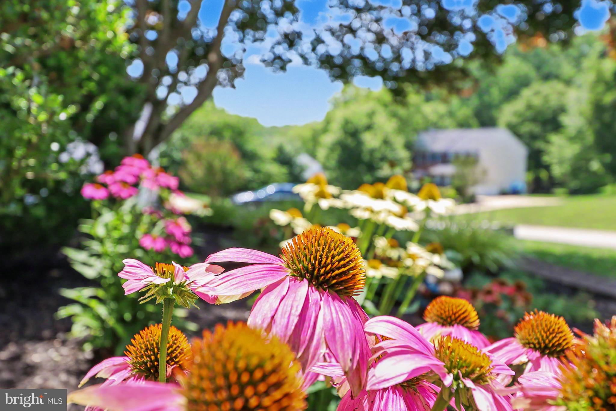 CAMPUS HILLS ESTATES - Residential
