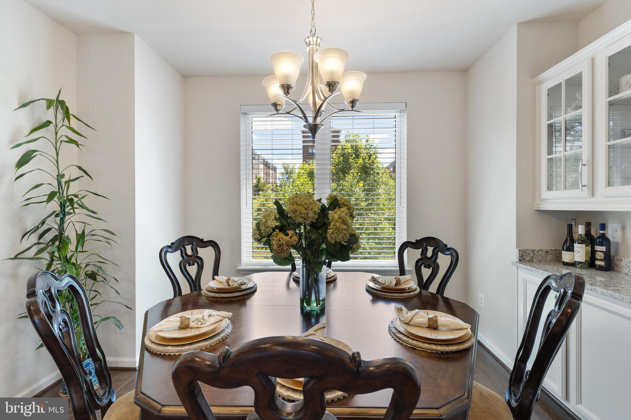 POTOMAC OVERLOOK AT NATIONAL HARBOR - Residential