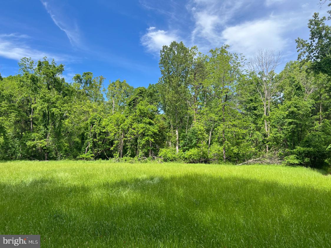 In the stunning countryside, minutes from Keswick, this 123 acre wooded parcel offers Easement Potential for  up to 10 parcels.  The land is gently sloped with a small creek and an abundance of deer and turkey.
Currently in Land Use in Forestry and Open Space.

The sale of this property is contingent upon seller locating a suitable replacement property for a 1031 exchange. Owner/agent.