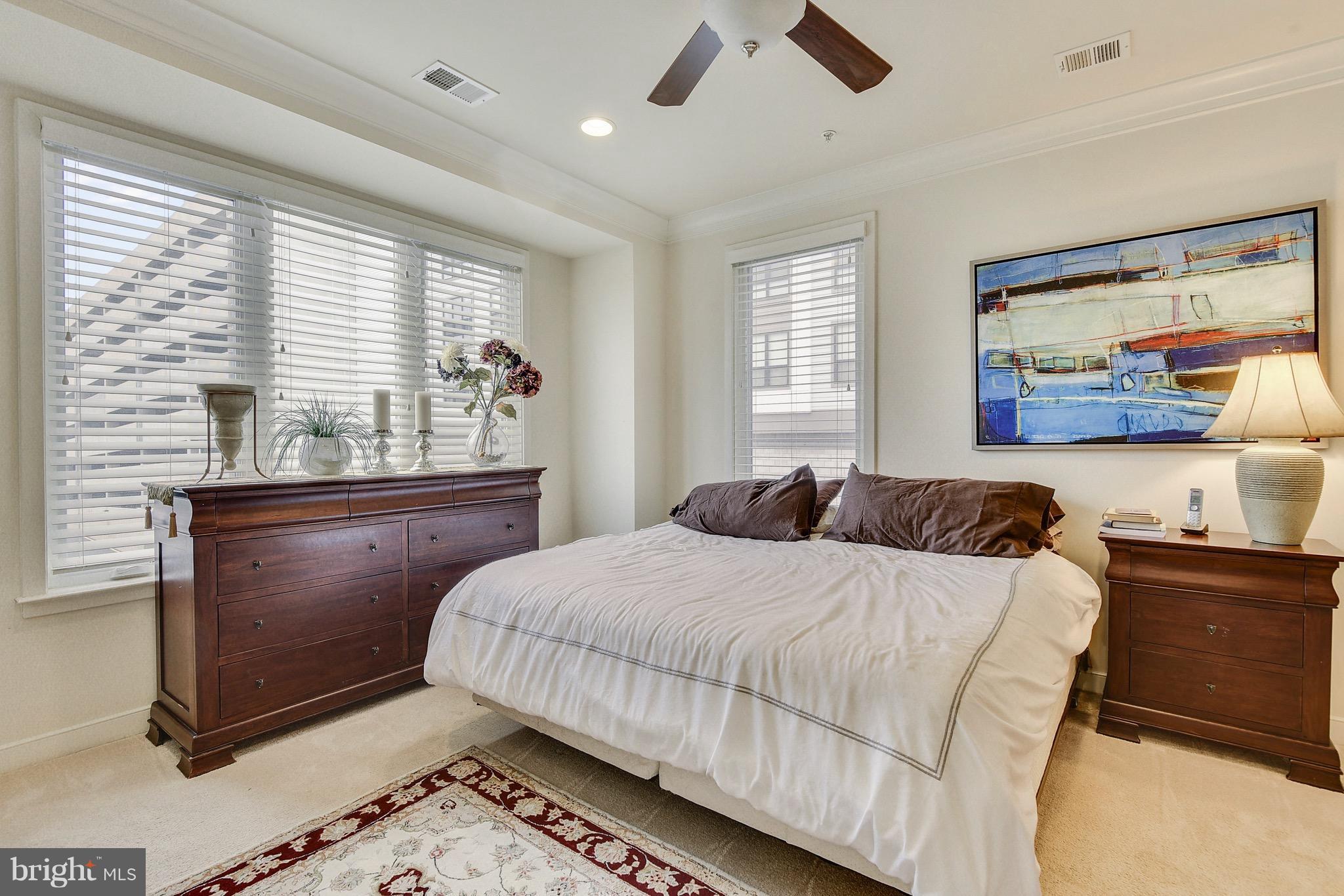 MOSAIC AT MERRIFIELD - Residential