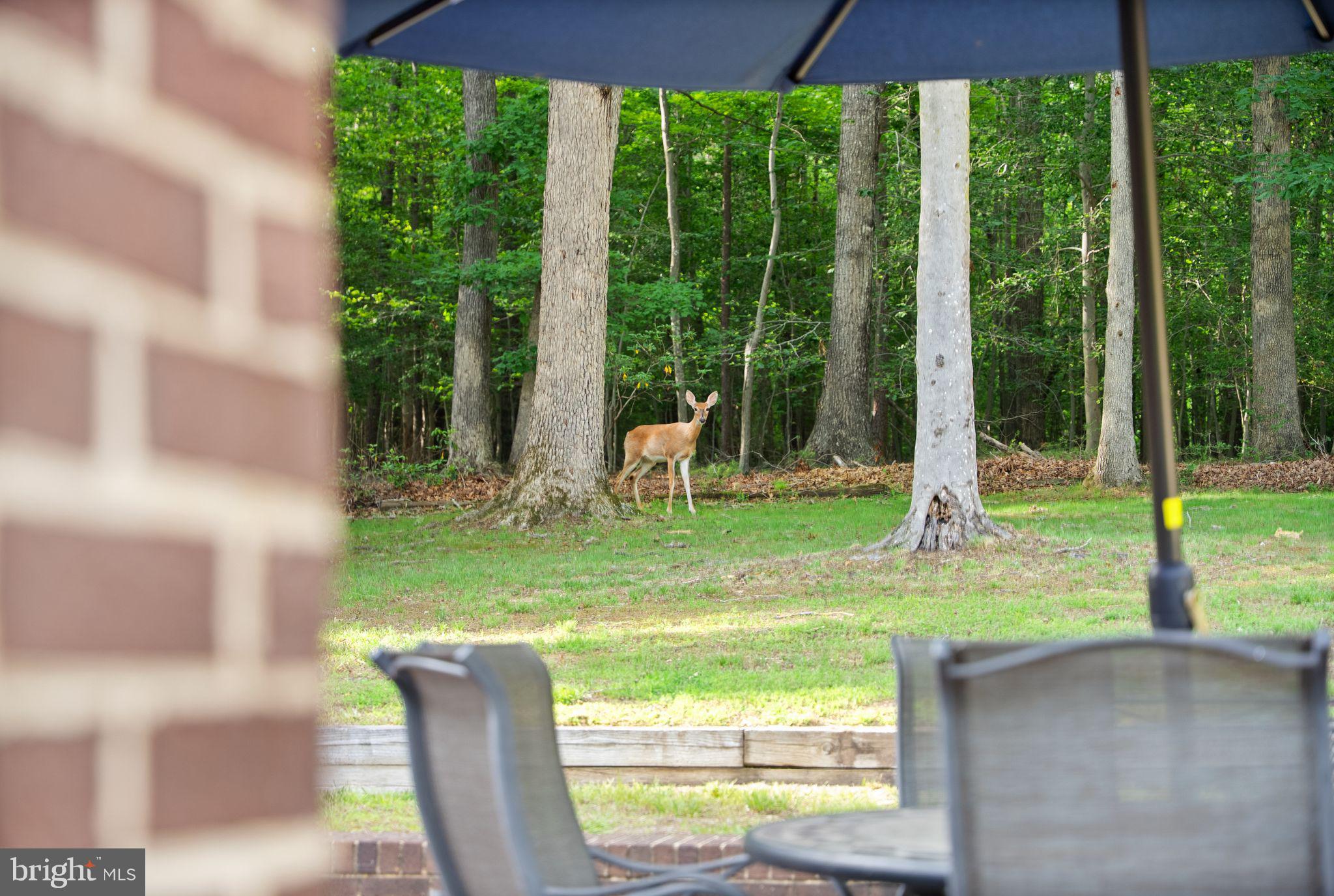 LAKE OCCOQUAN CLUB - Residential