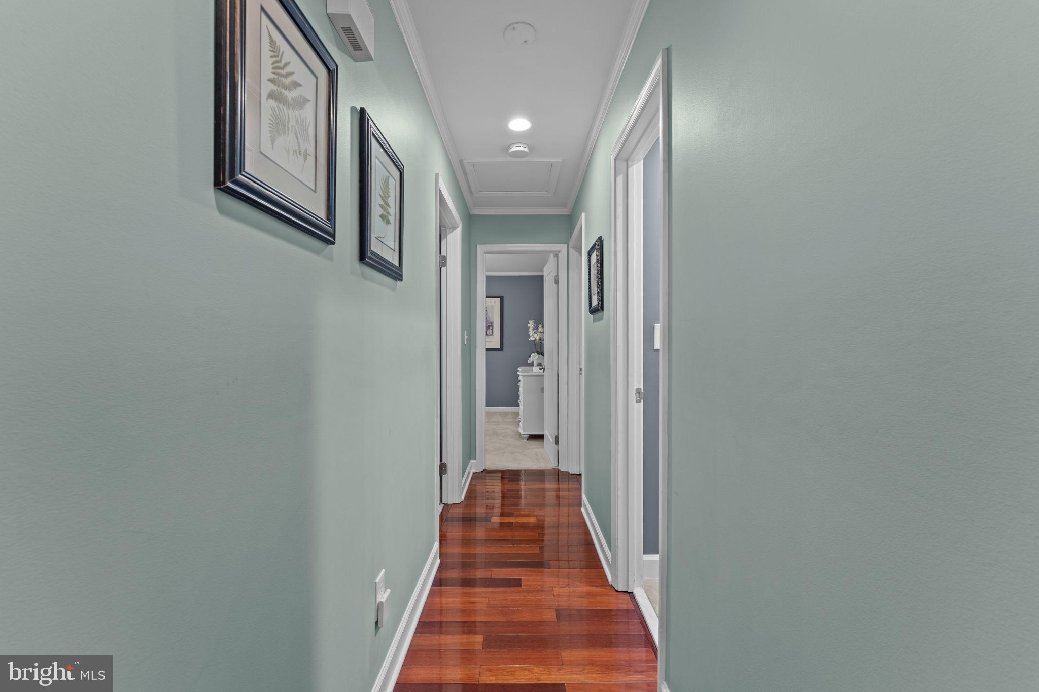 TERRANOVA - Residential