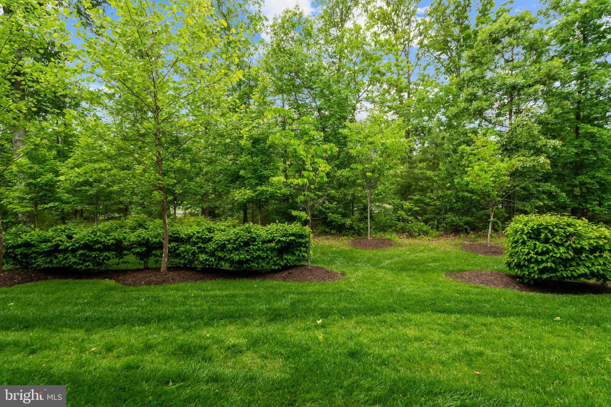LOUDOUN VALLEY RIDGES - Residential