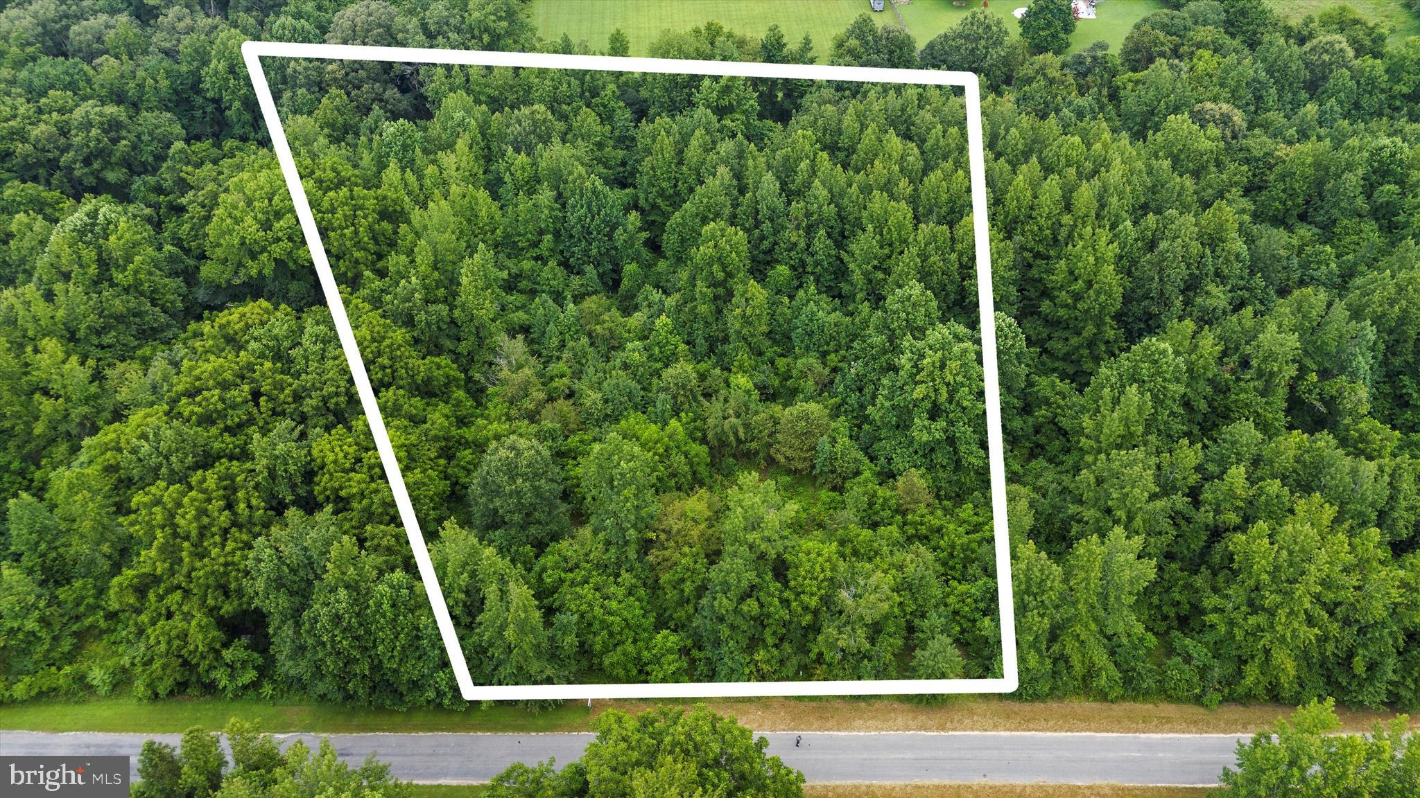 Welcome to the Oasis neighborhood, a serene and picturesque enclave nestled in the charming town of Ridgely, MD. This prestigious 2.4-acre wooded lot on Burnt Mill Road presents a unique opportunity to craft your dream home amidst nature's splendor. With its perc approval, this lot is primed and ready for you to bring your architectural vision to life.

As you enter the Oasis, you're greeted by a striking grand entrance and a paved road that sets the tone for this distinguished community. Here, you have the freedom to design a private retreat that is perfectly tailored to your lifestyle, with no builder tie-in restrictions to limit your creativity. While the Oasis offers the freedom of no governing HOA, it does have Covenants and Restrictions to maintain the community's integrity.

Just minutes from Rt. 404 and the vibrant town of Denton, this location offers both tranquility and convenience. Discover the perfect blend of nature and accessibility, and make your dream home a reality in this smartly positioned and thoughtfully planned neighborhood.

Property lines estimated in photos
