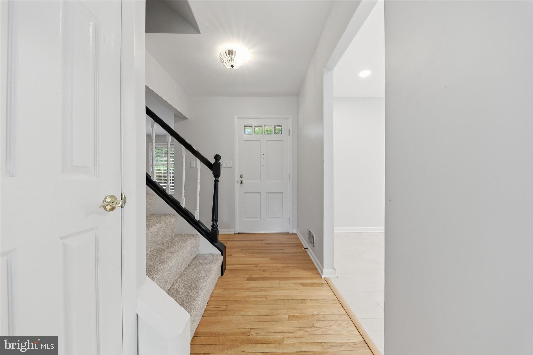 WILLIAMSBURG VILLAGE - Residential