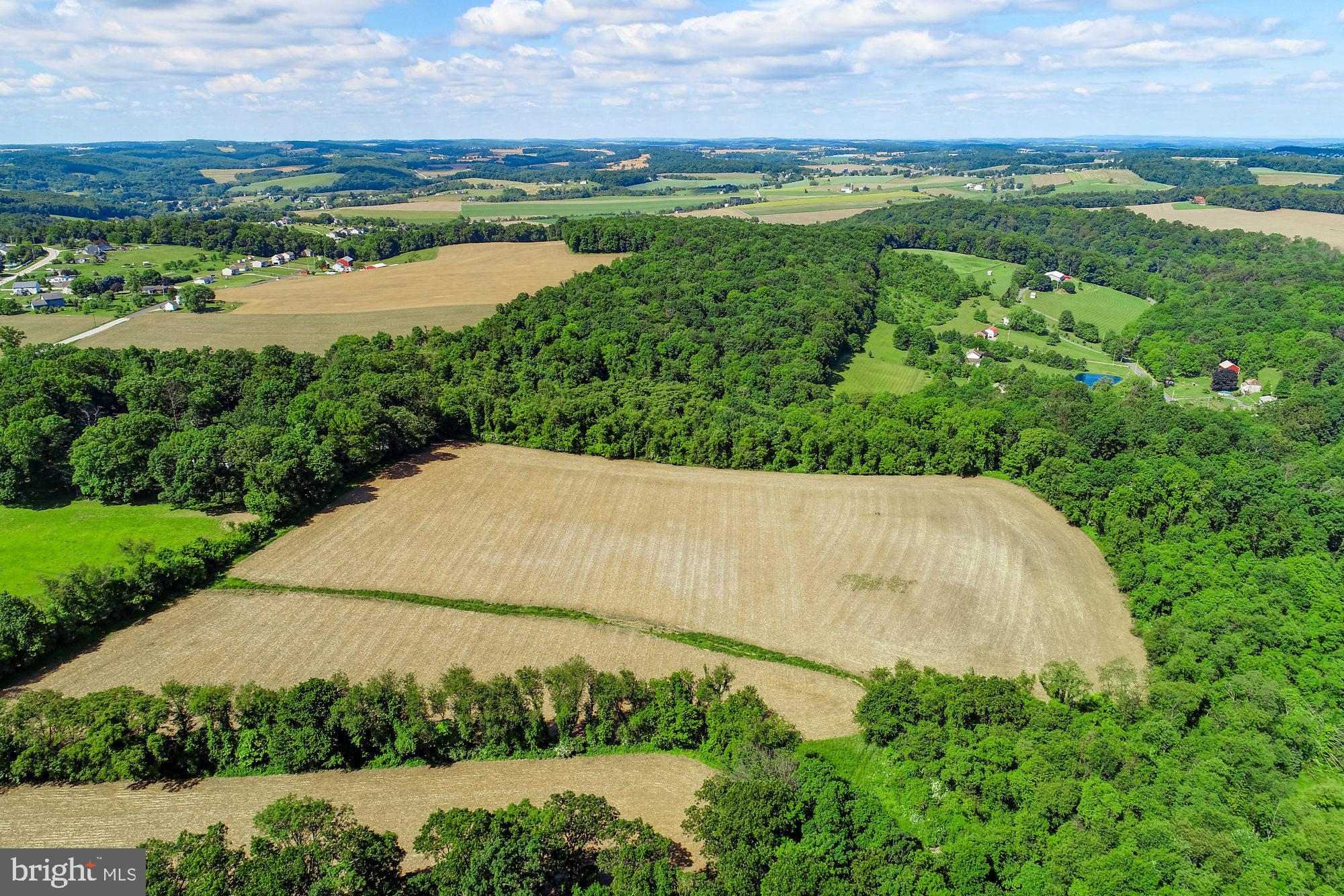 WINDSOR TWP - Farm
