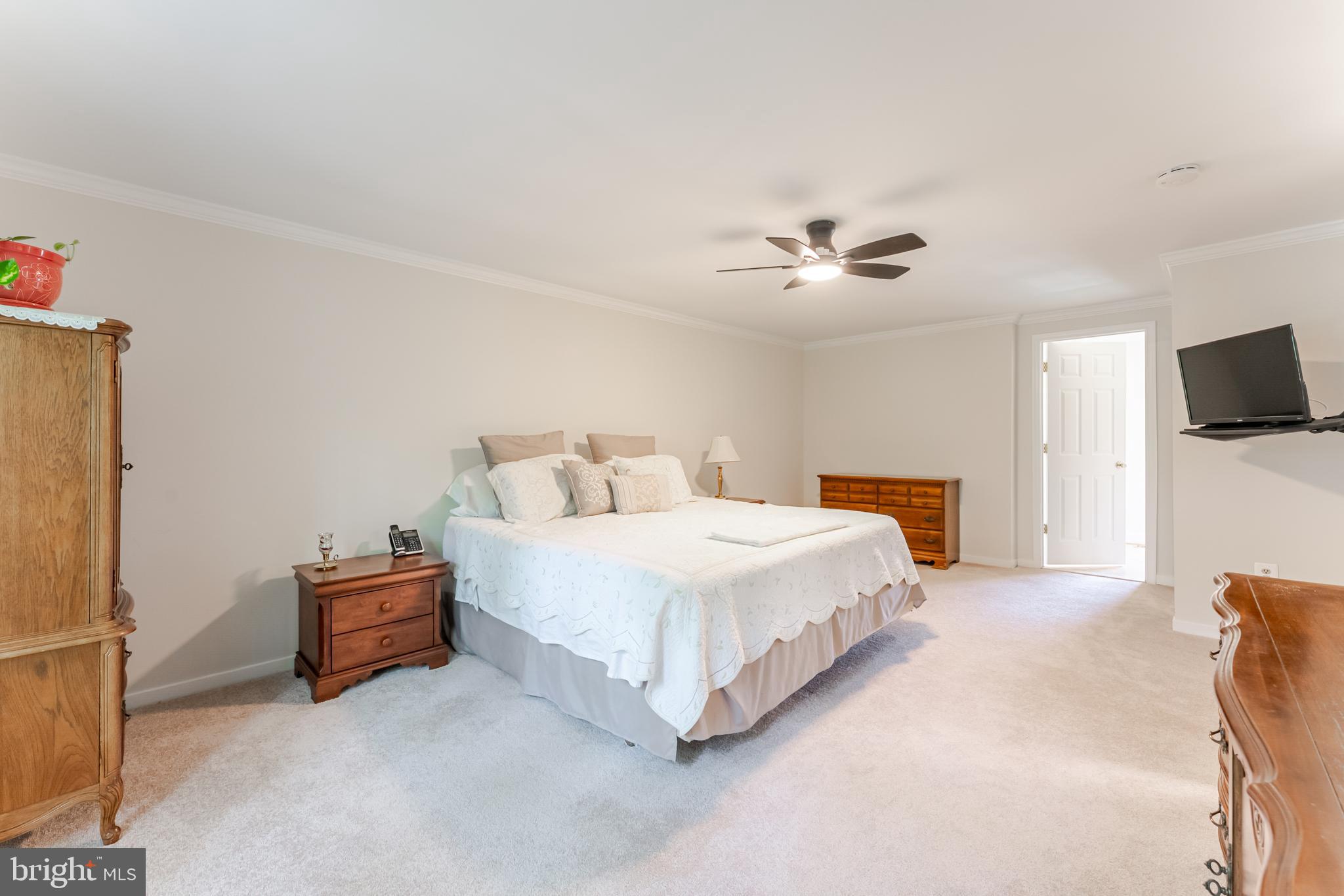 PEPPER TREE - Residential