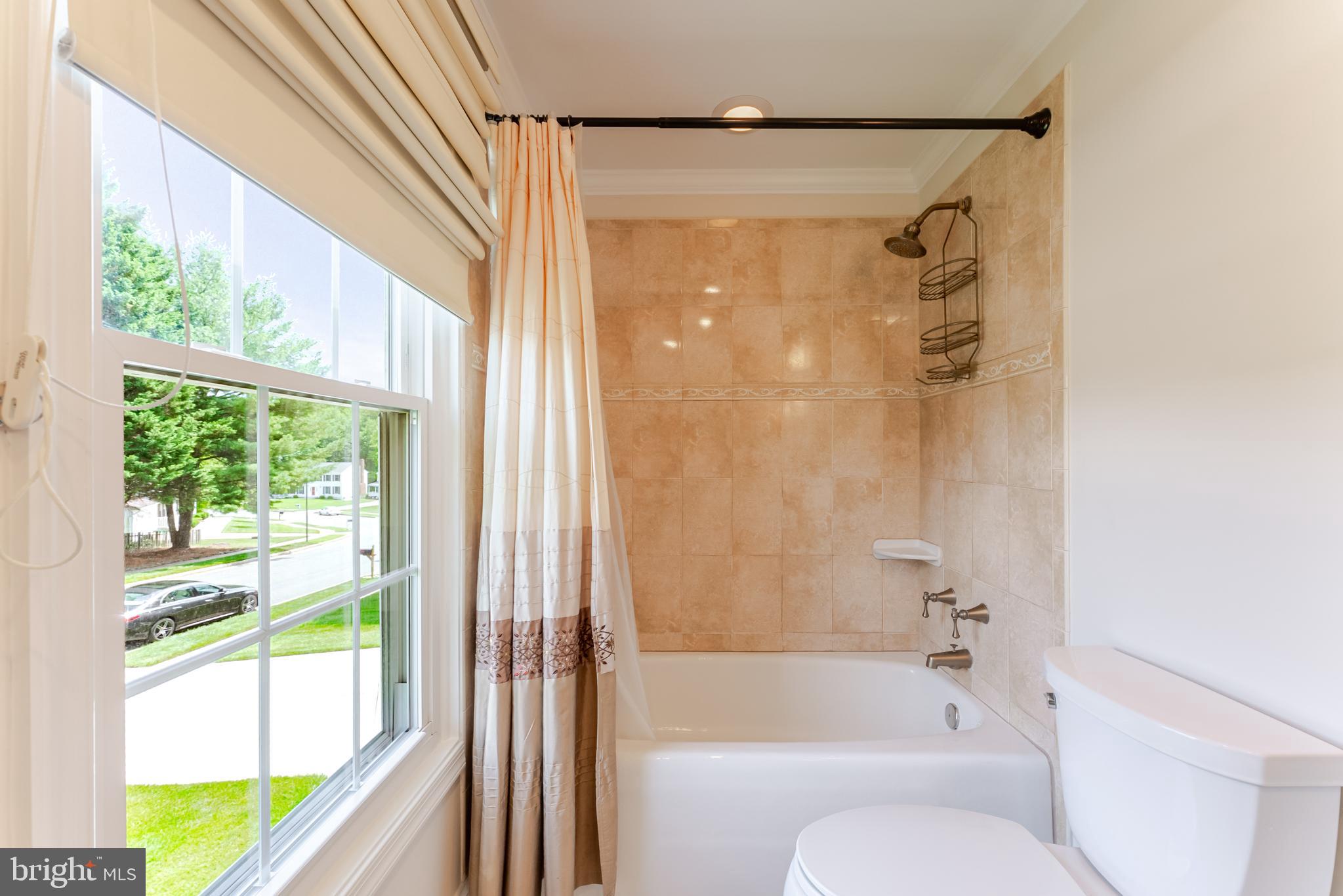 PEPPER TREE - Residential
