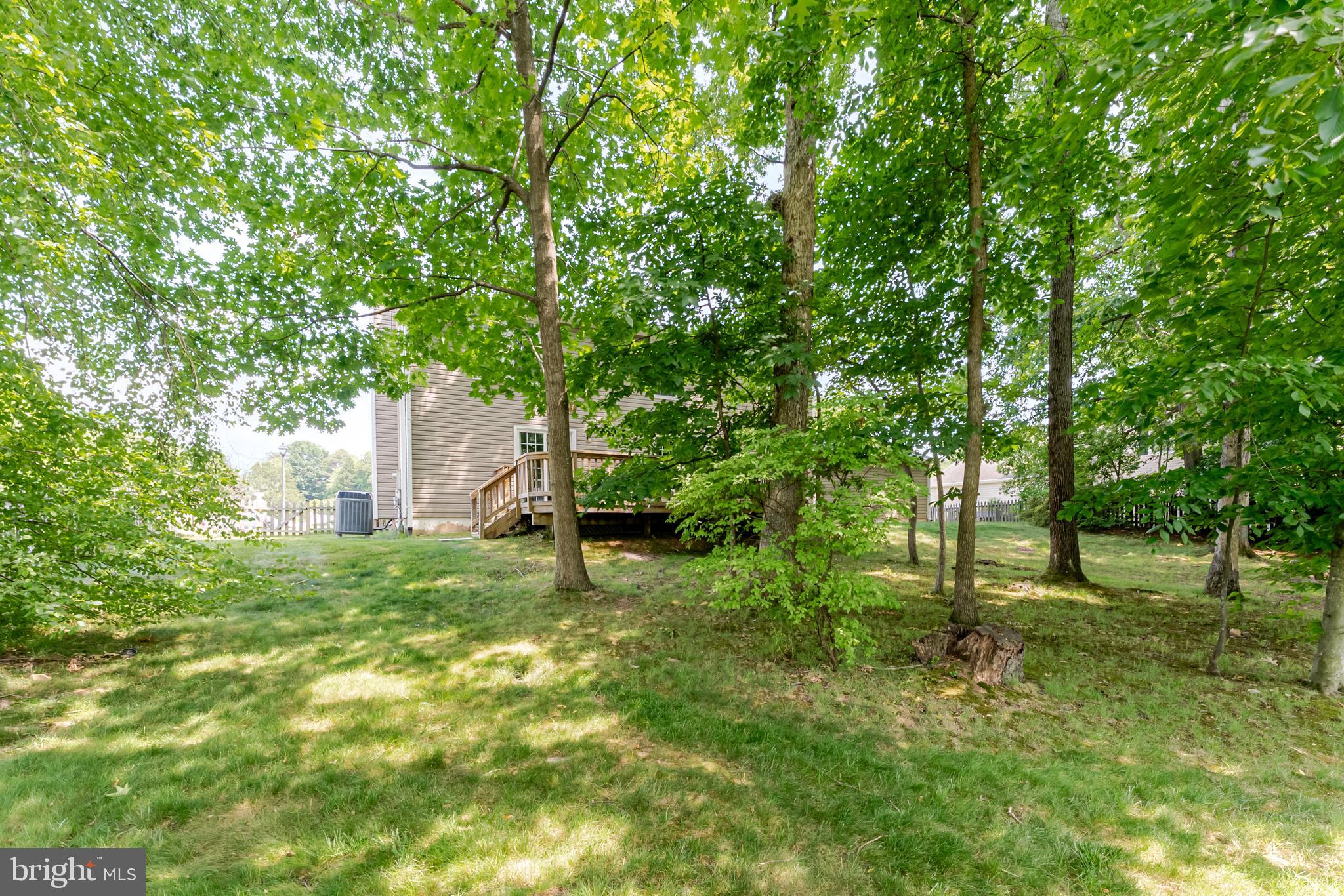 PEPPER TREE - Residential