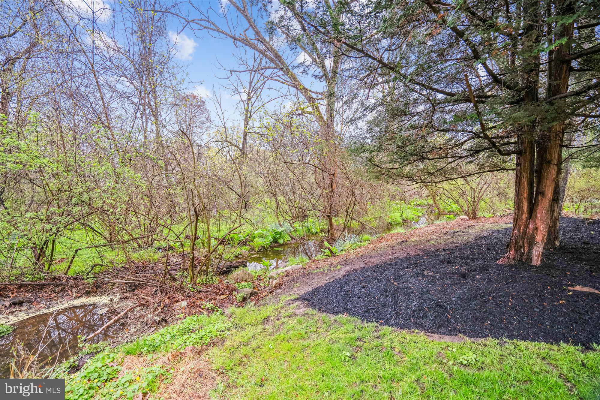 MACGILLS COMMON - Residential