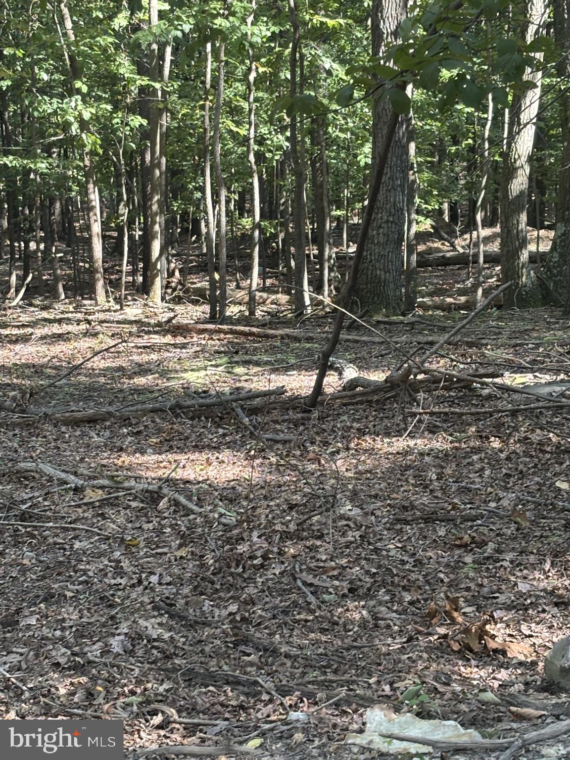 This property is waiting for a new owner to love the peace and quiet of the area. Want to build a small home or a cabin for investment opportunity.  Come view this beautiful lot. Tired of lights beaming thru your curtains at night, if so then this is the  a parcel of land you want to view.   2.18 acres  ready to build your home or cabin for a place to get away for the weekend.    From your back deck, enjoy watching deer at play and take in the serene natural surroundings.   Peaceful and a place you can set on your porch and gaze at the stars.   Located near Sleepy Creek Lake with 23,000 acres to roam  and a 205 acre lake.  A great place to fish!    Close to Martinsburg or Berkeley Springs.  (Lot 10)