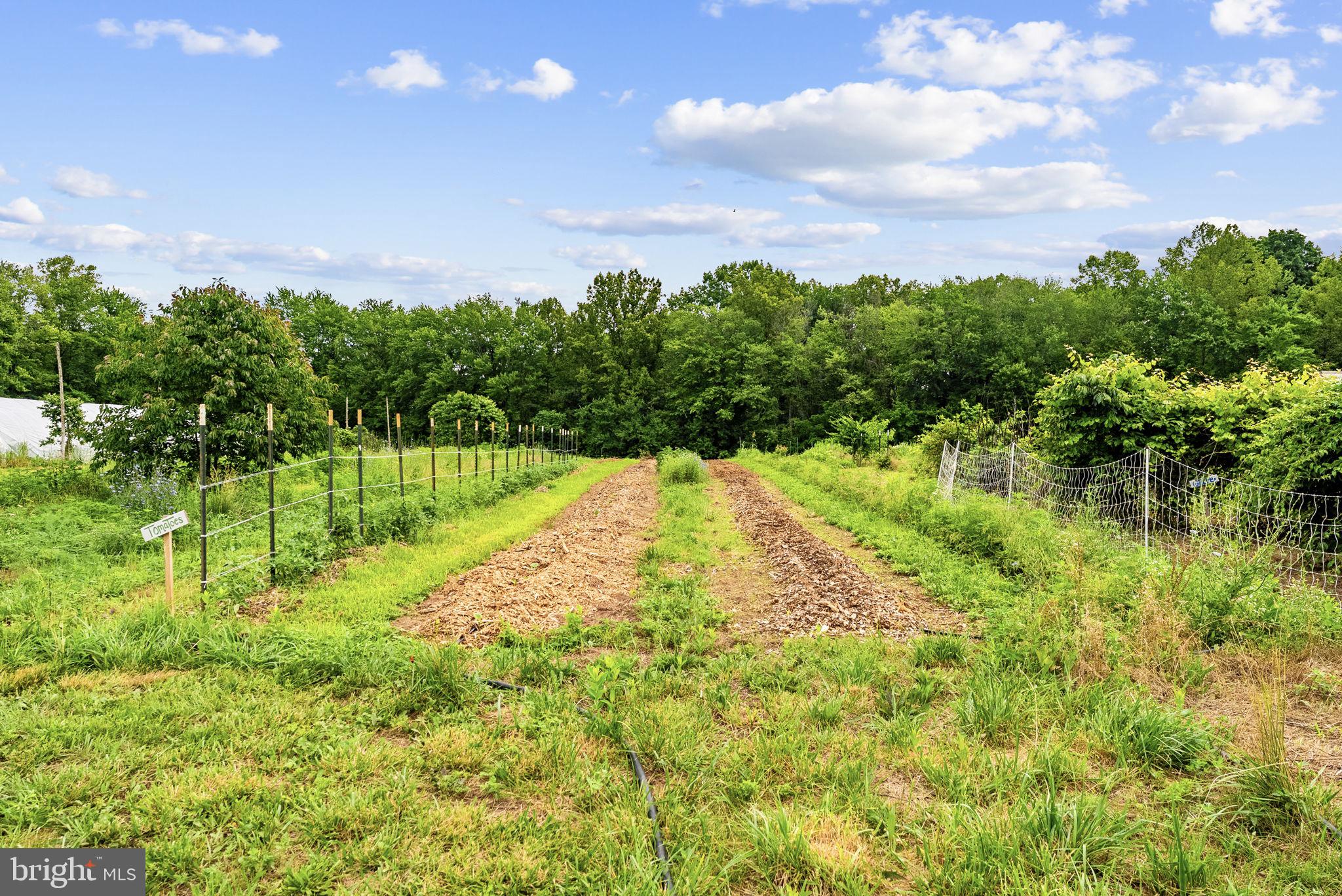 NONE AVAILABLE - Farm