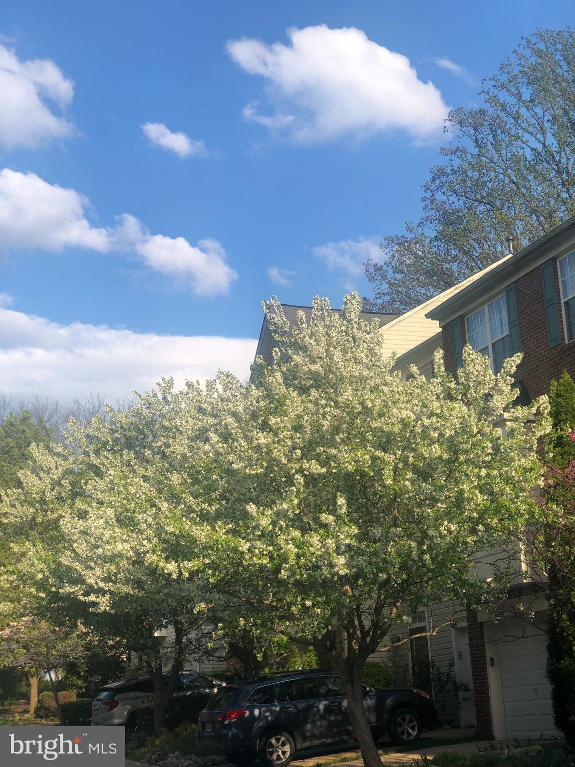 WHEATON - Residential