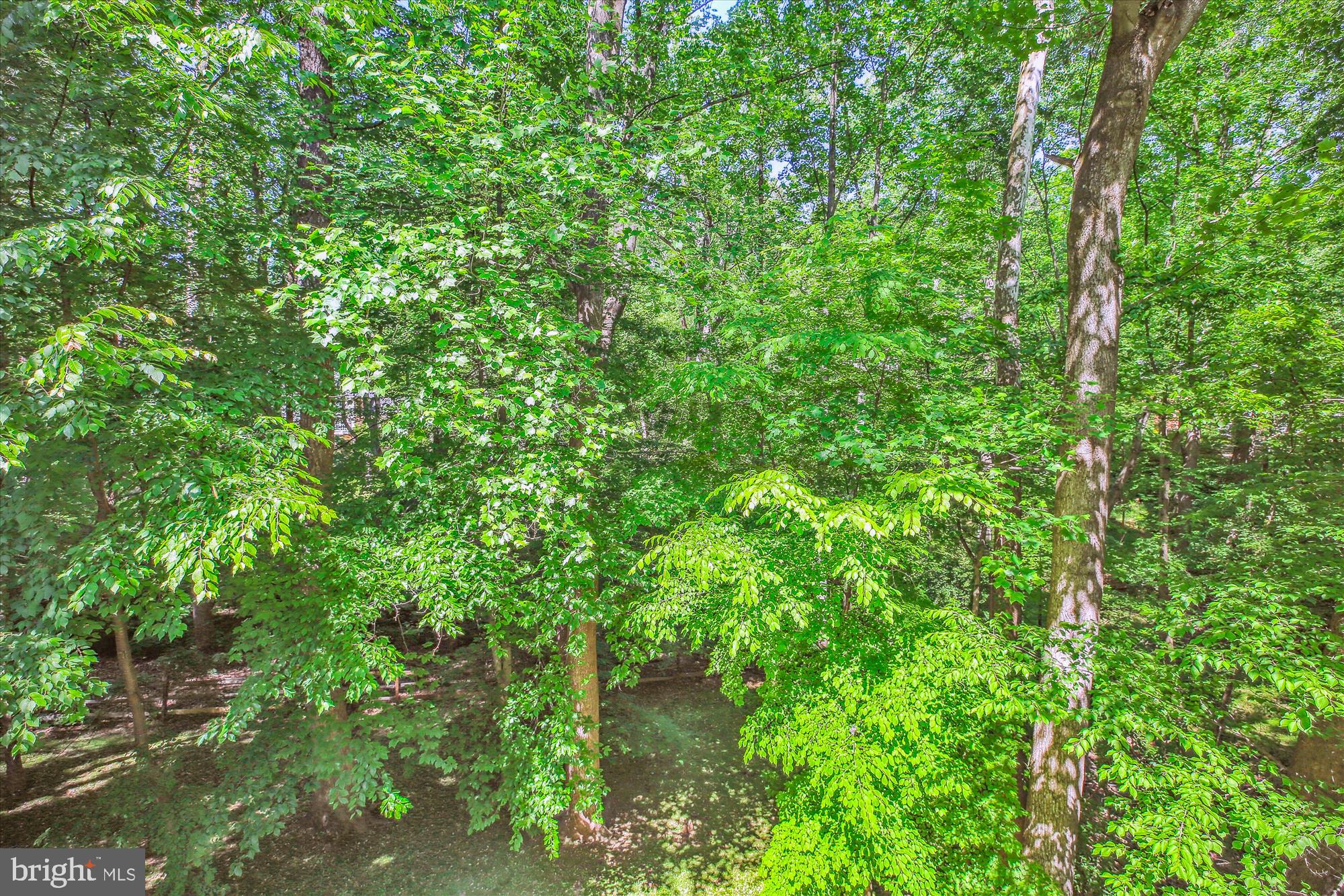 GLEN MILL VILLAGE - Residential