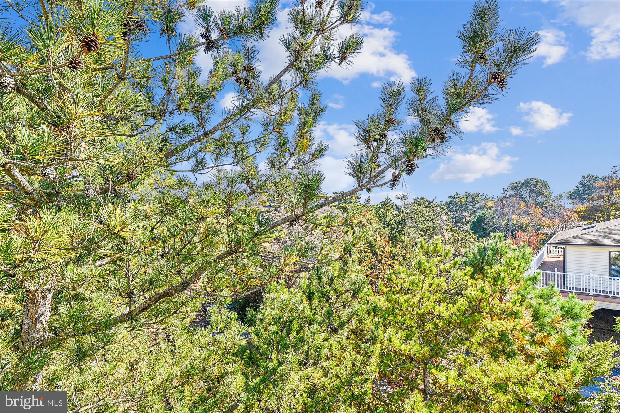 COTTON PATCH HILLS - Residential