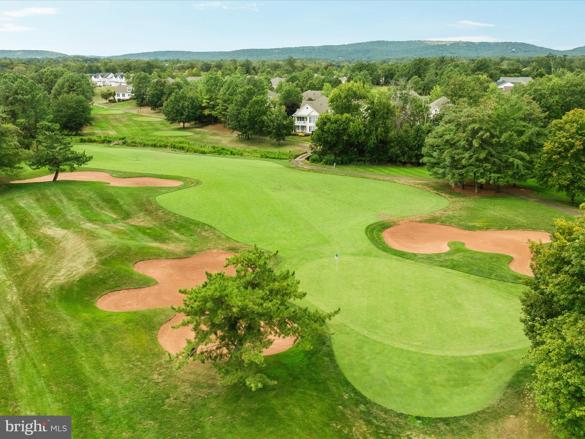 REGENCY AT DOMINION VALLEY - Residential