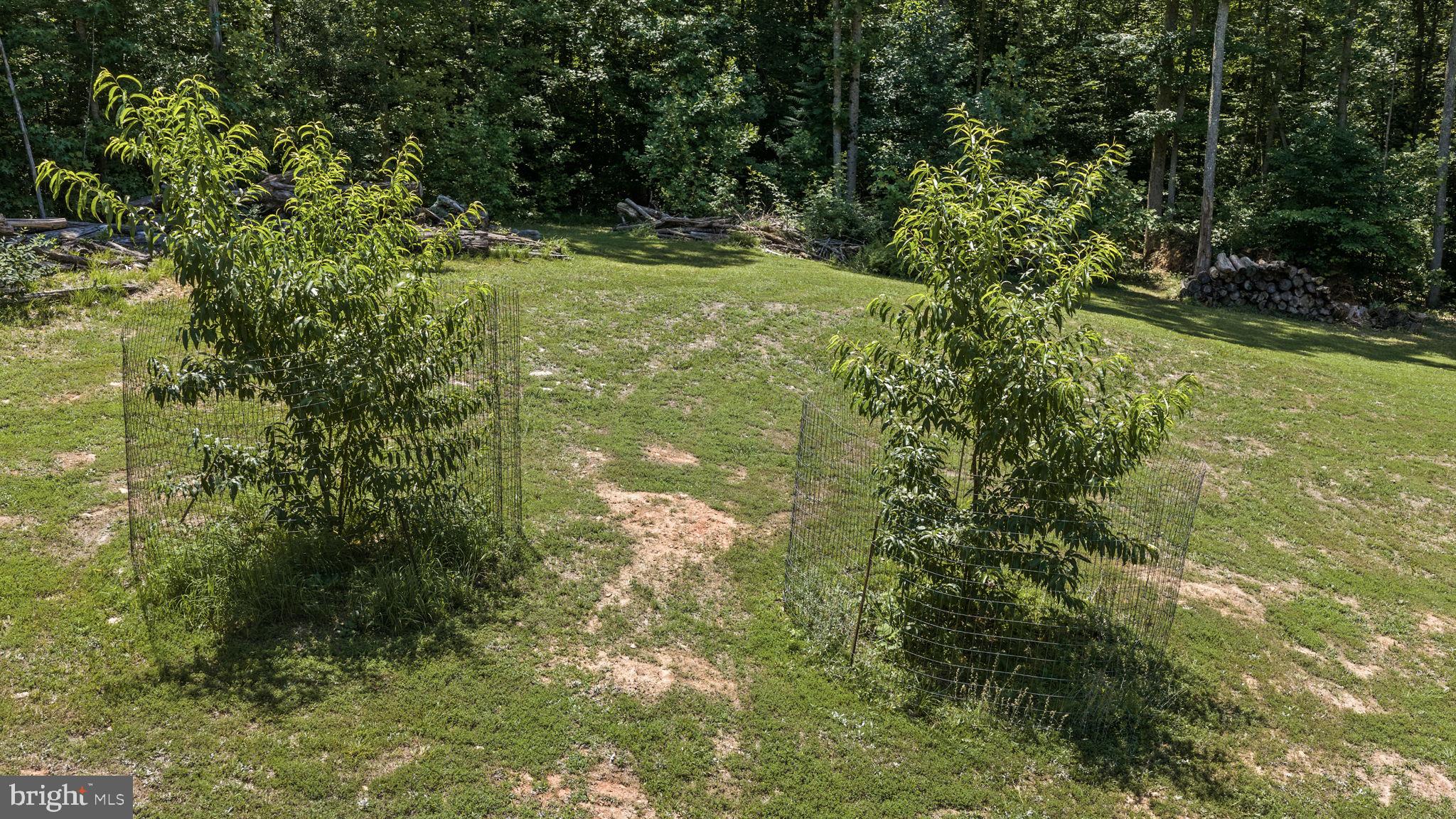 RIDGEMONT - Residential