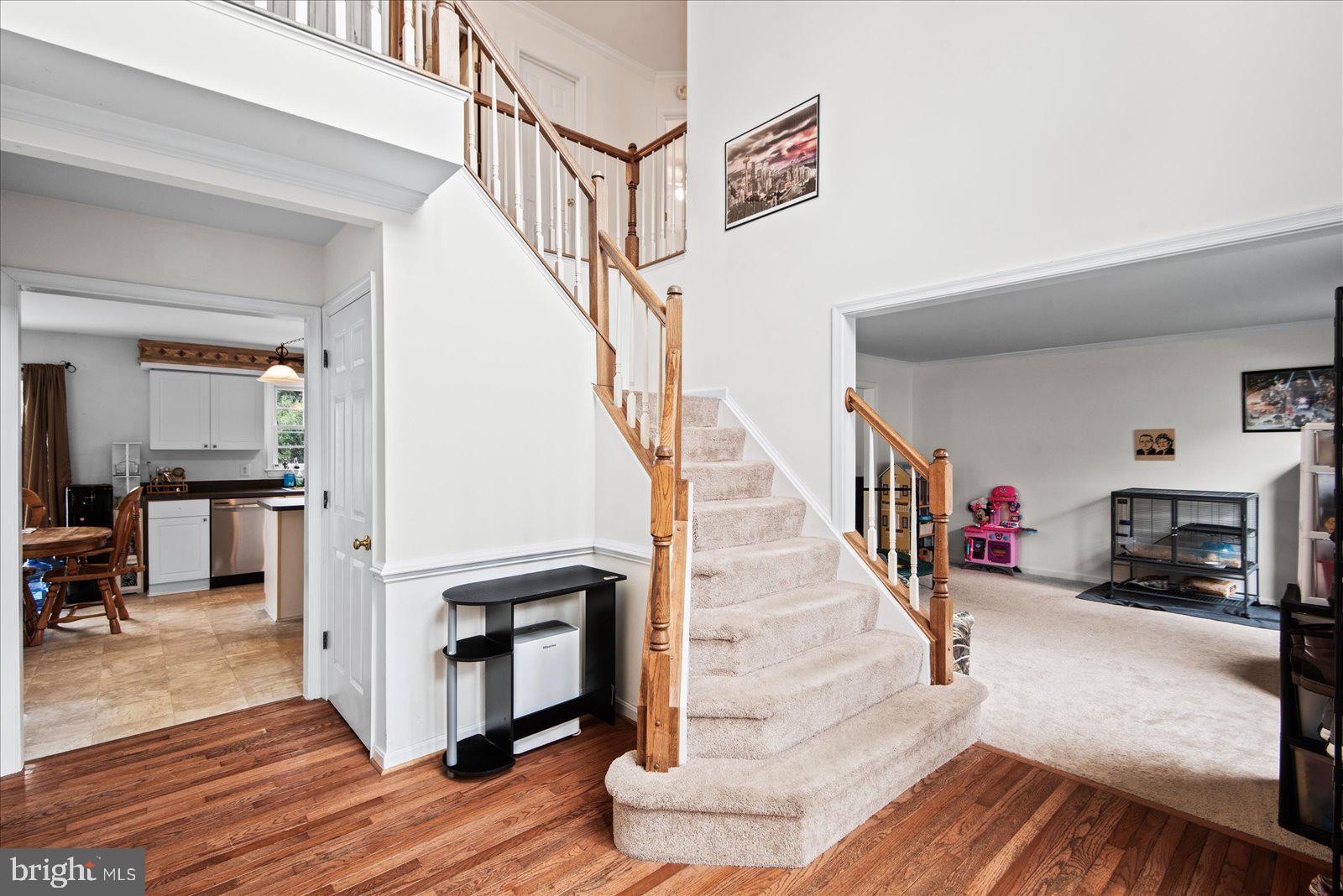 CARDINAL FOREST - Residential