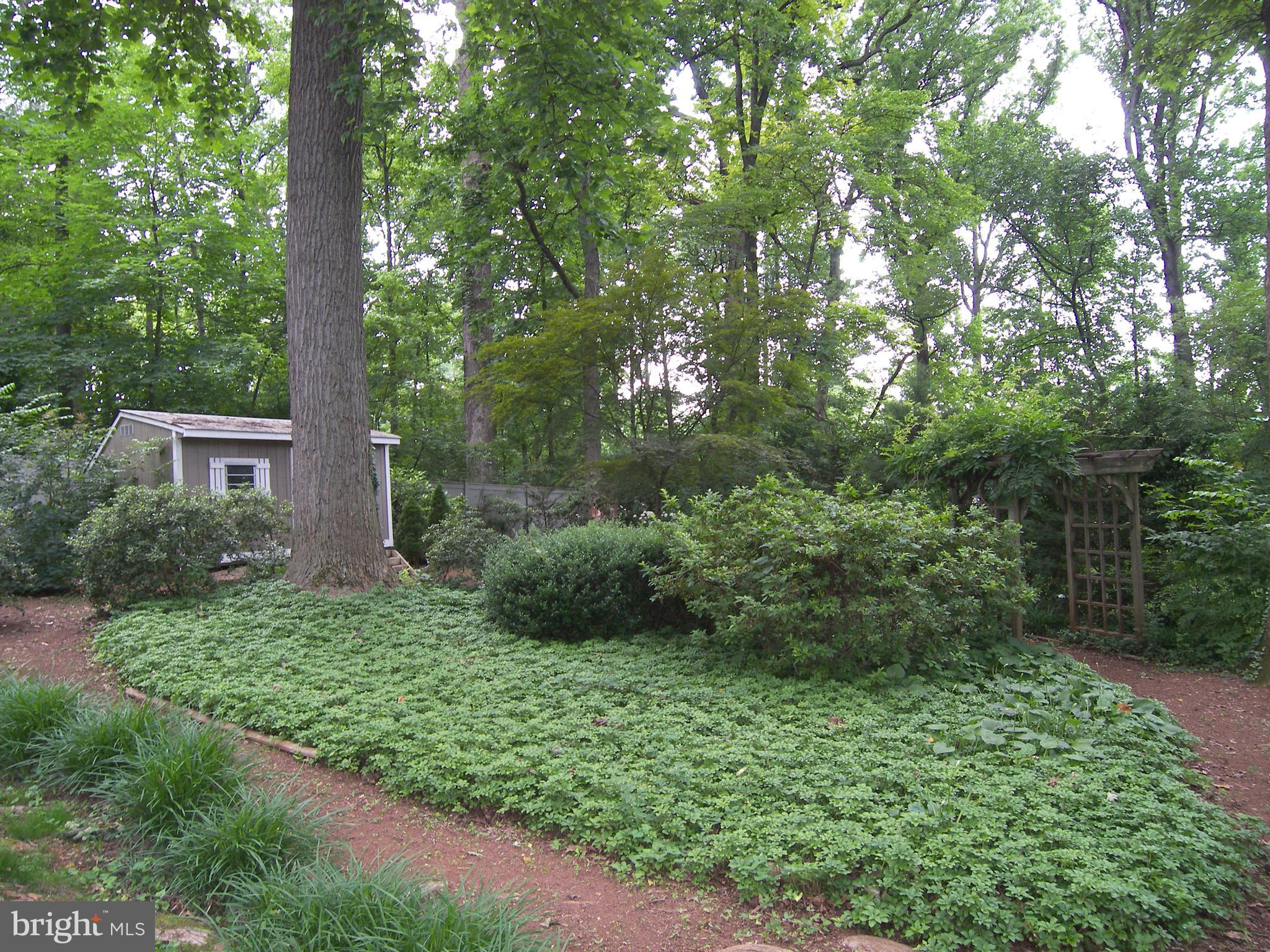 BRADLEY WOODS - Residential Lease