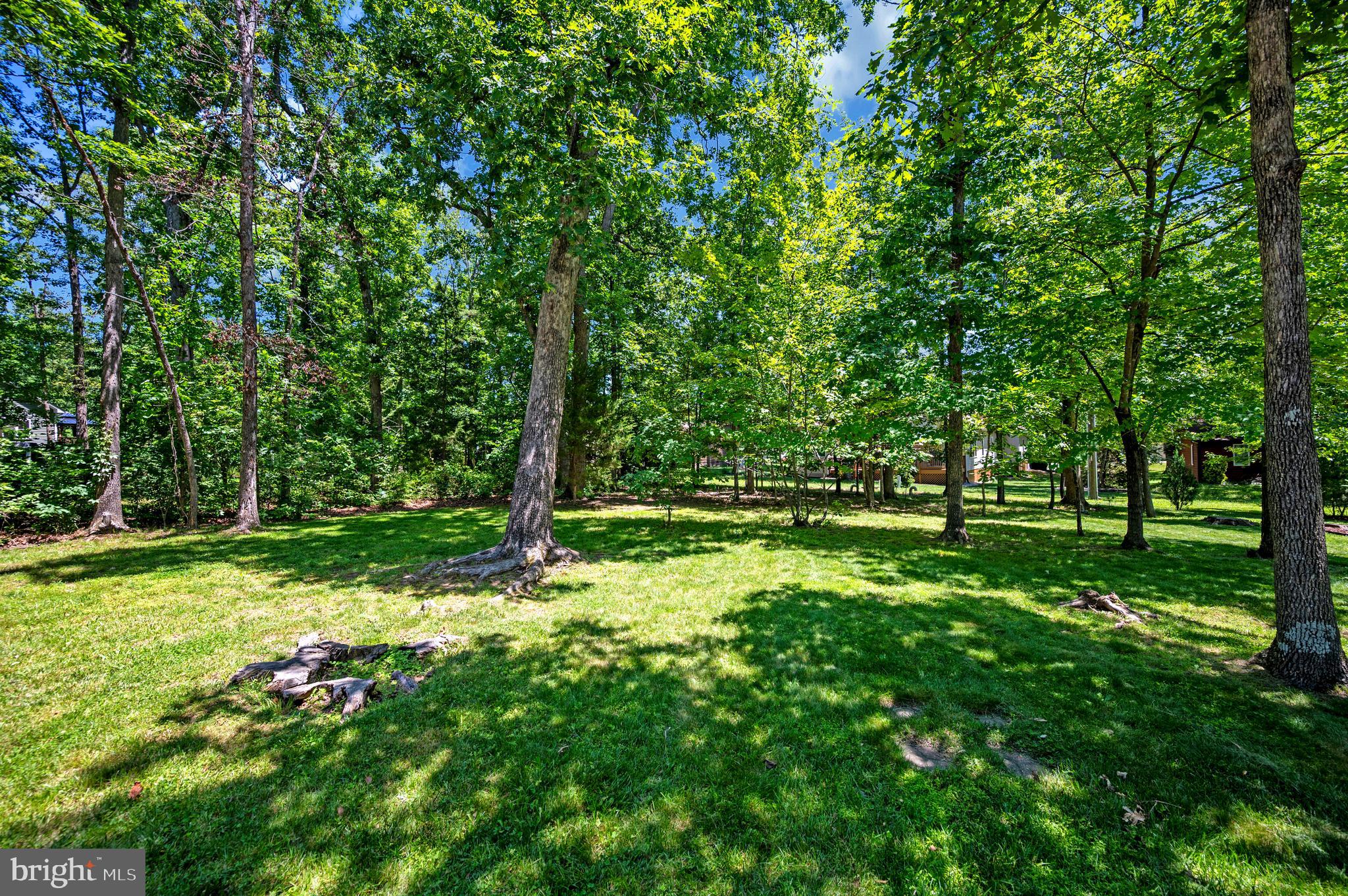 LAKE OF THE WOODS - Residential