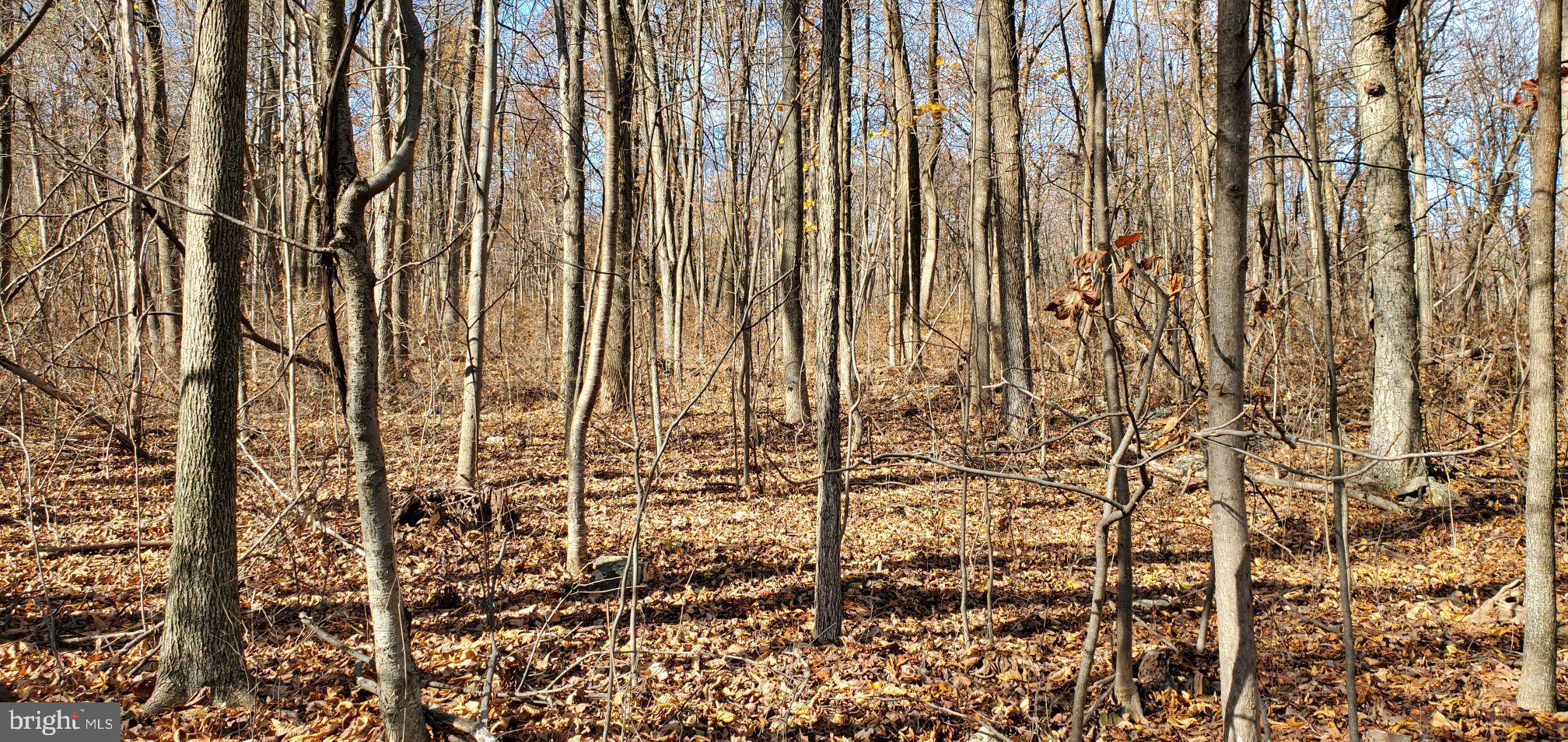 Minutes To I-66, Prime 5 Wooded Acres!  Zoned Agricultural!  Bring Your House Plans, We Have Builders To Build Your Dream Home.  Escape The City To The Country.  Wooded Lot Offers Lots Of Privacy.  Great Out Door Lovers Paradise With Lots Of Hiking Trails, Shenandoah River, Parks, Wineries All Close By.  Minutes To Town Of Front Royal, Restaurants & Shopping.  Build Your Full Time Dream Home Or Weekend Escape!