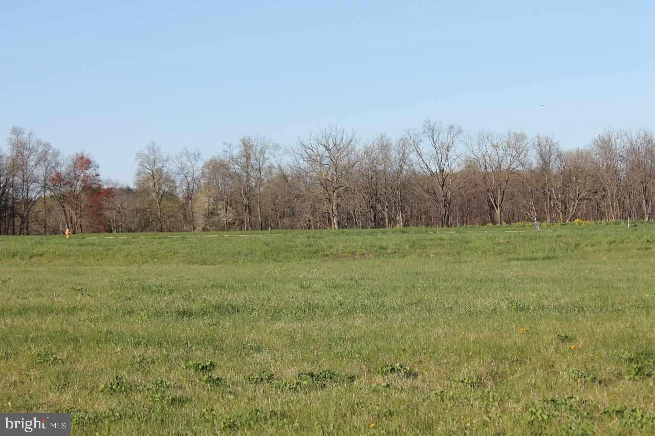 Beautiful setting to build your home, curved street, open space. Outstanding Dover school district. Easy access to RT. 30, 74 and I-83. Easy commute to Camp Hill, Harrisburg area. Flat and walk-out basement lots. Beautiful views. Wide Streets. Convenient location.