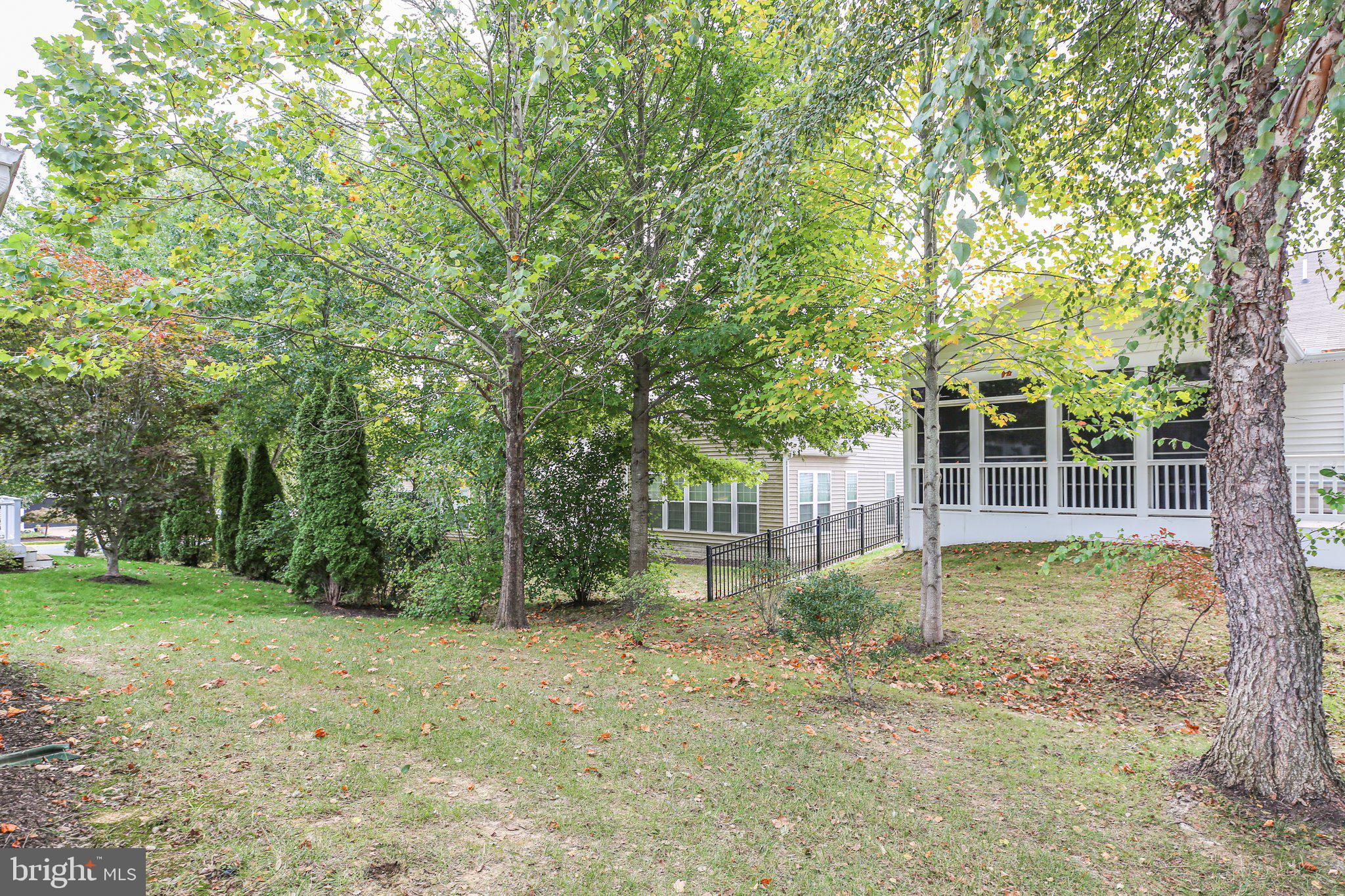 CELEBRATE VIRGINIA NORTH - Residential