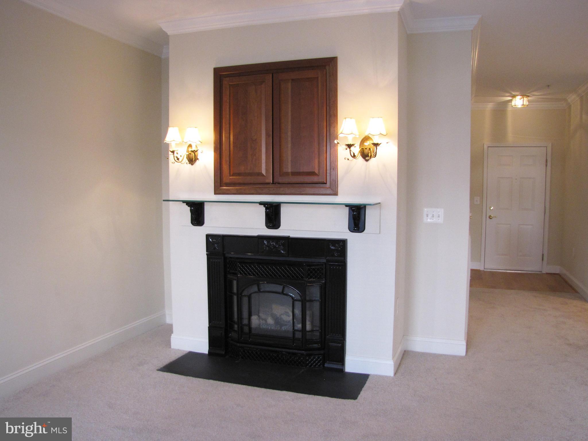ENCLAVE AT ELLICOTT HILLS - Residential