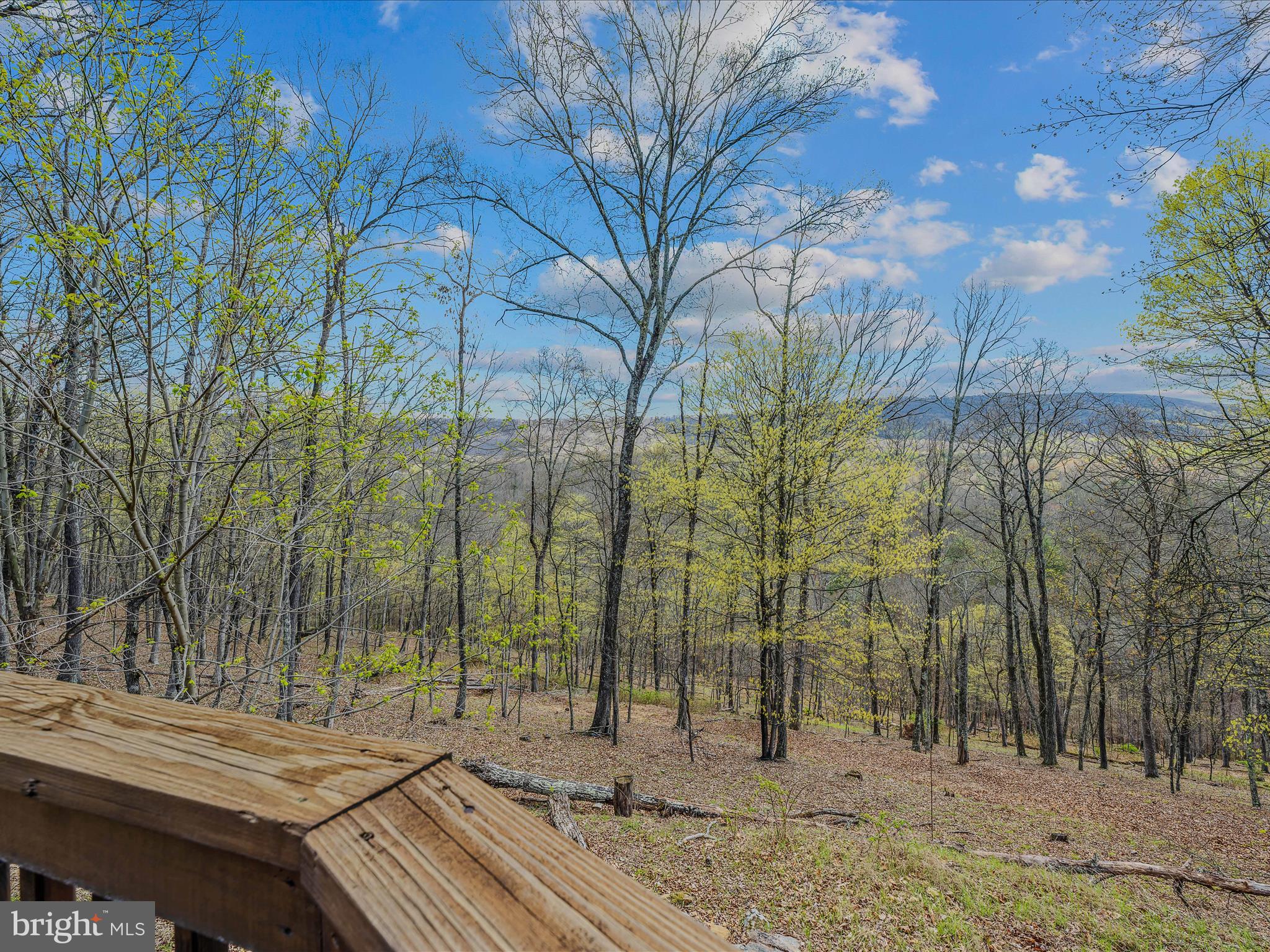MAGNOLIA BEND - Residential