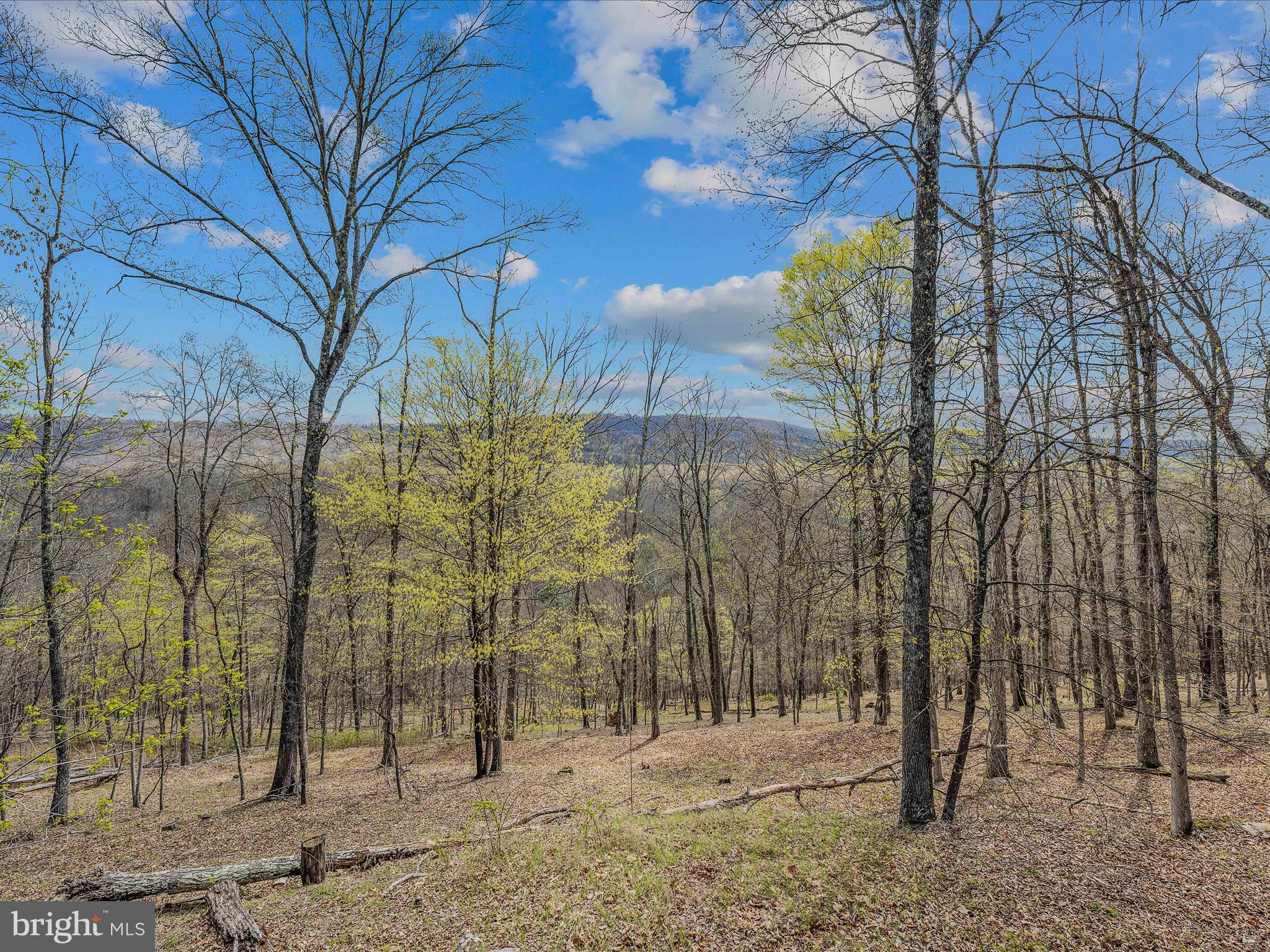 MAGNOLIA BEND - Residential