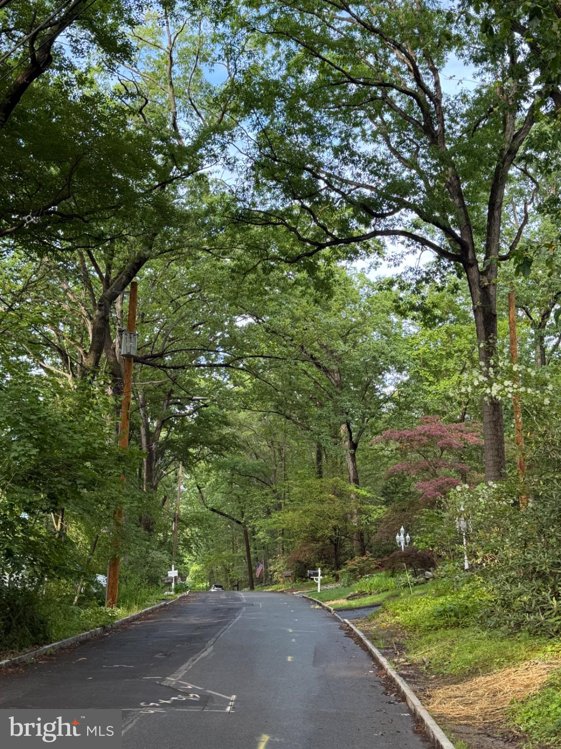FRAZIER WOODS - Residential