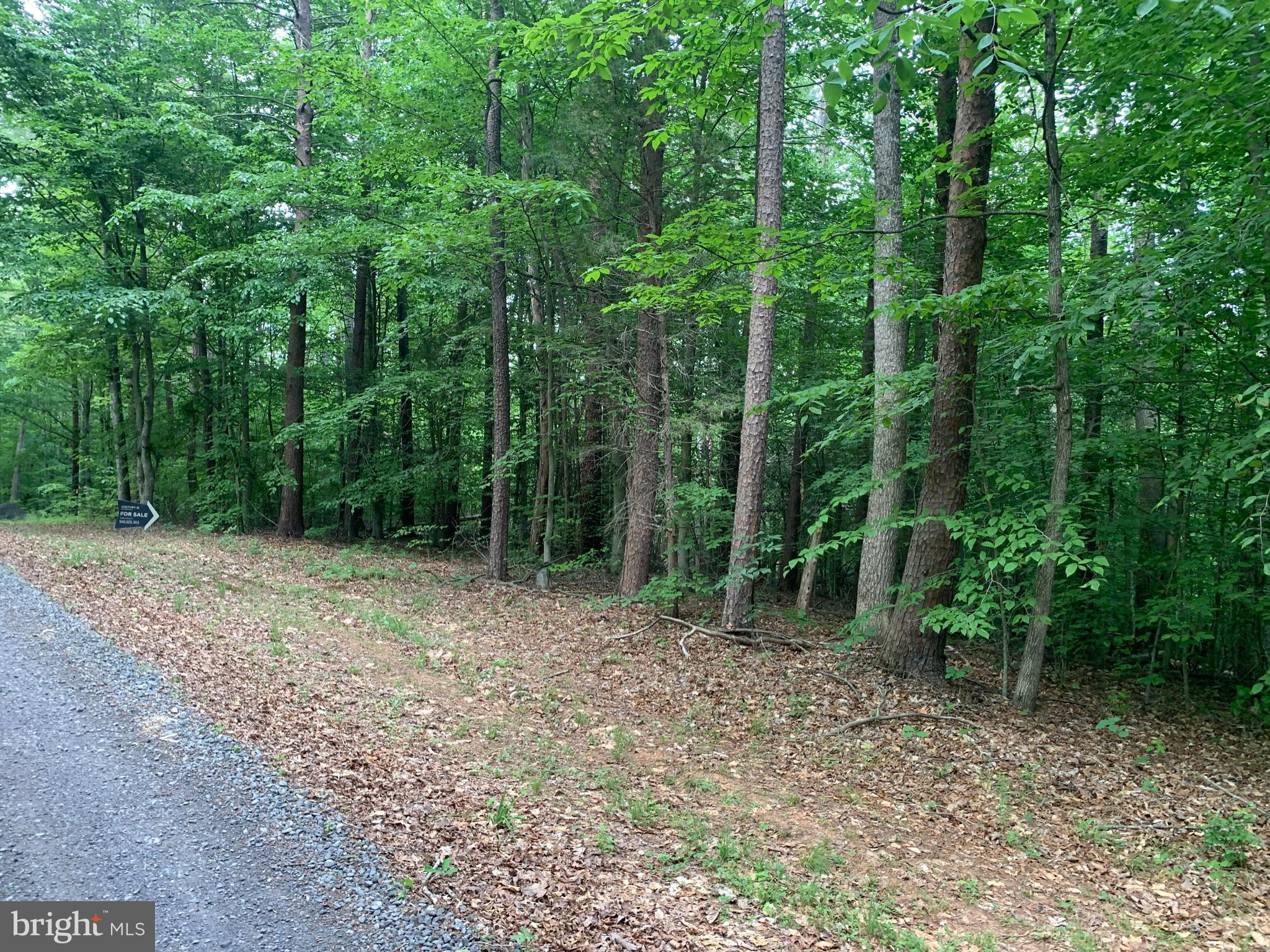 WONDERFUL,  WOODED BUILDING LOT OFF  LAHORE RD OFFERS  LOTS OF NATURE.   OFF LAHORE RD AND ACCESSED BY RED FEATHER WAY, A PRIVATE  RD.   THERE IS A RECORDED ROAD MAINTENACE AGREEMENT FOR RED FEATHER WAY, BUT NO COVENANTS OR HOA. THE SELLER MAY CONSIDER OWNER FINANCING. SELLER IN THE PROCESS OF HAVING THE LOTS PERCED.   COME AND SEE YOU WILL LOVE THIS LOT.