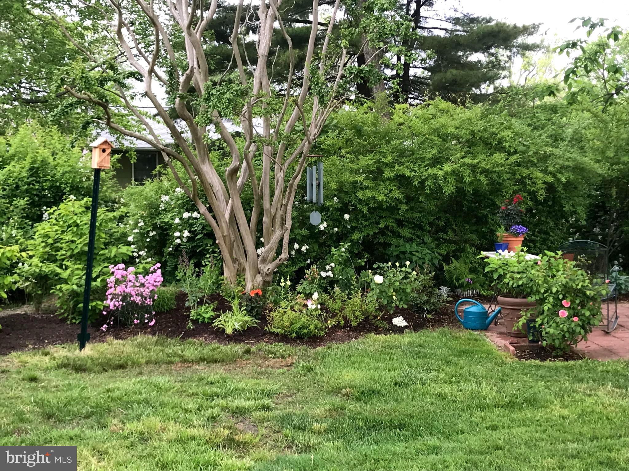 ST. MICHAELS - Residential