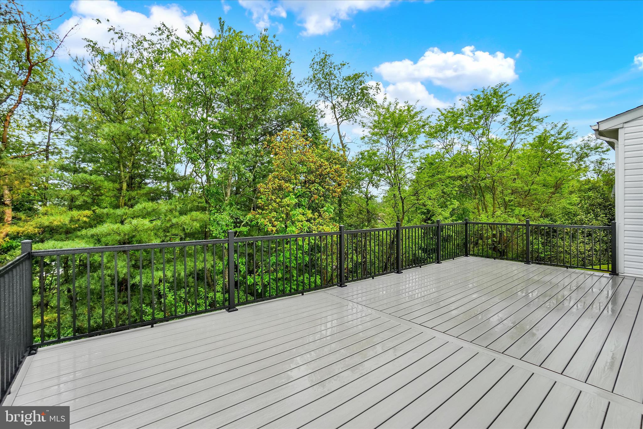 COLONIAL MEADOWS - Residential