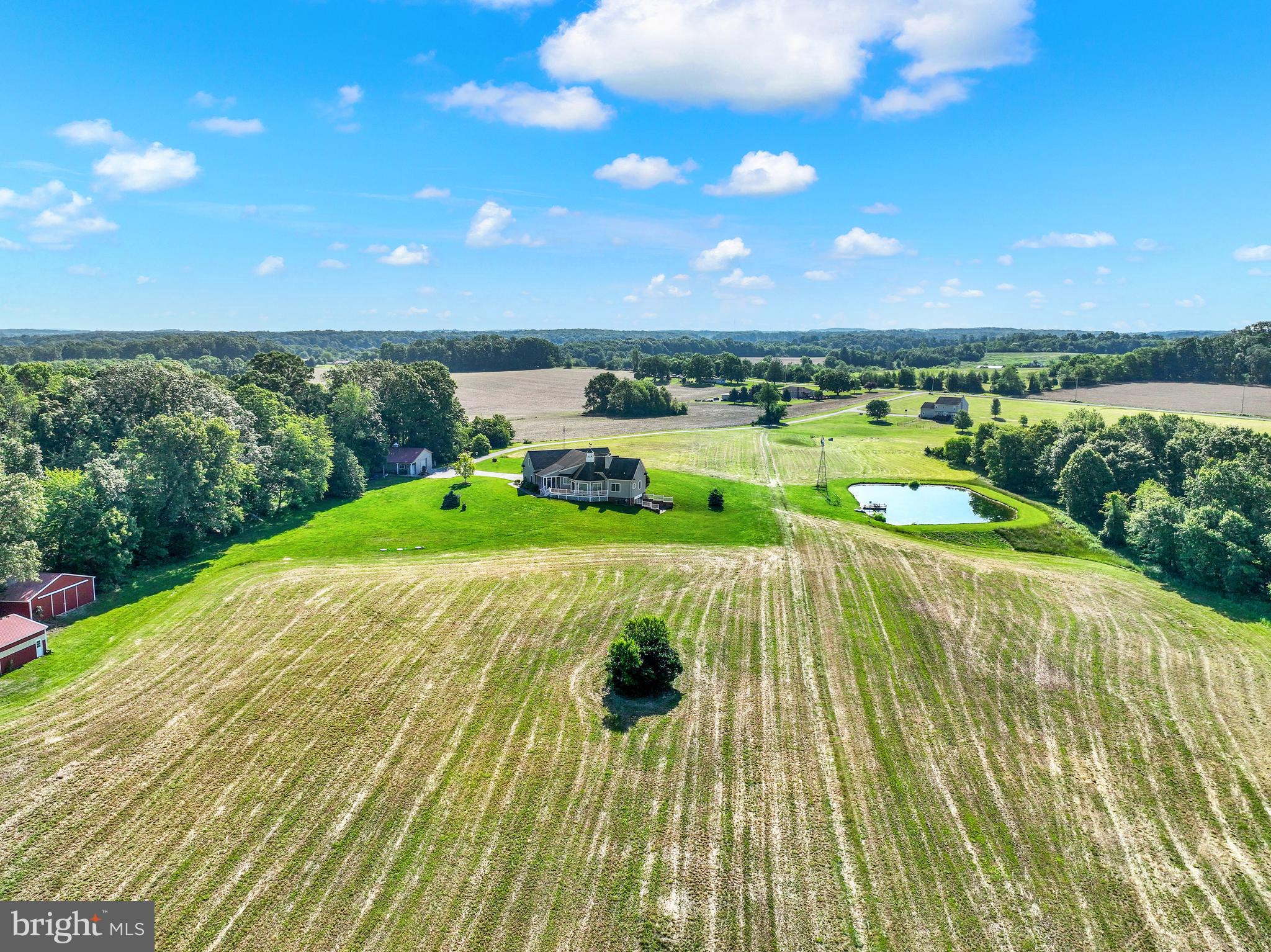 FARM - Farm