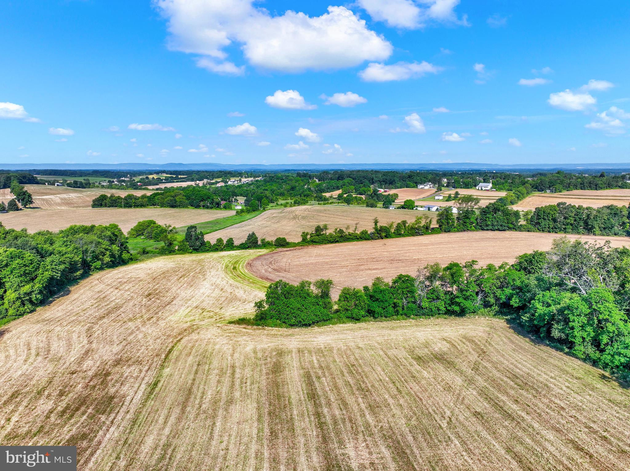 FARM - Farm