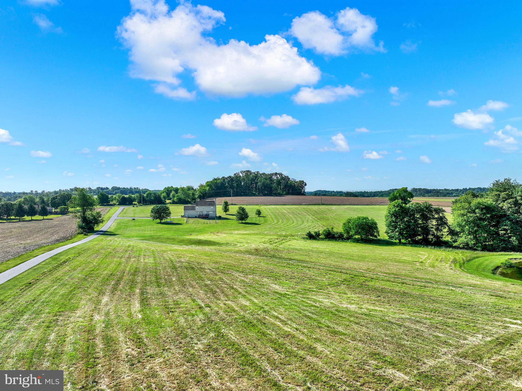 FARM - Farm