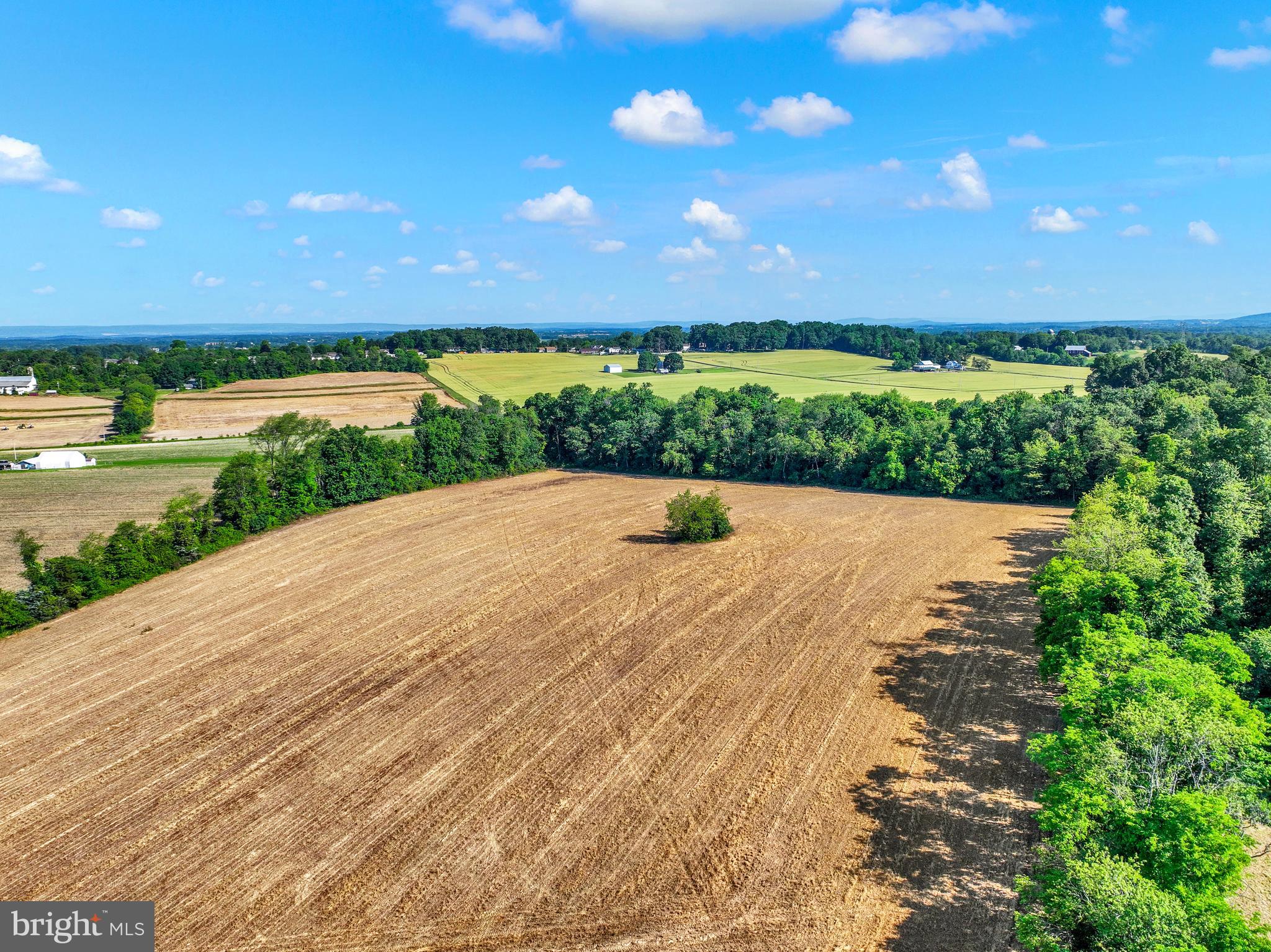 FARM - Farm
