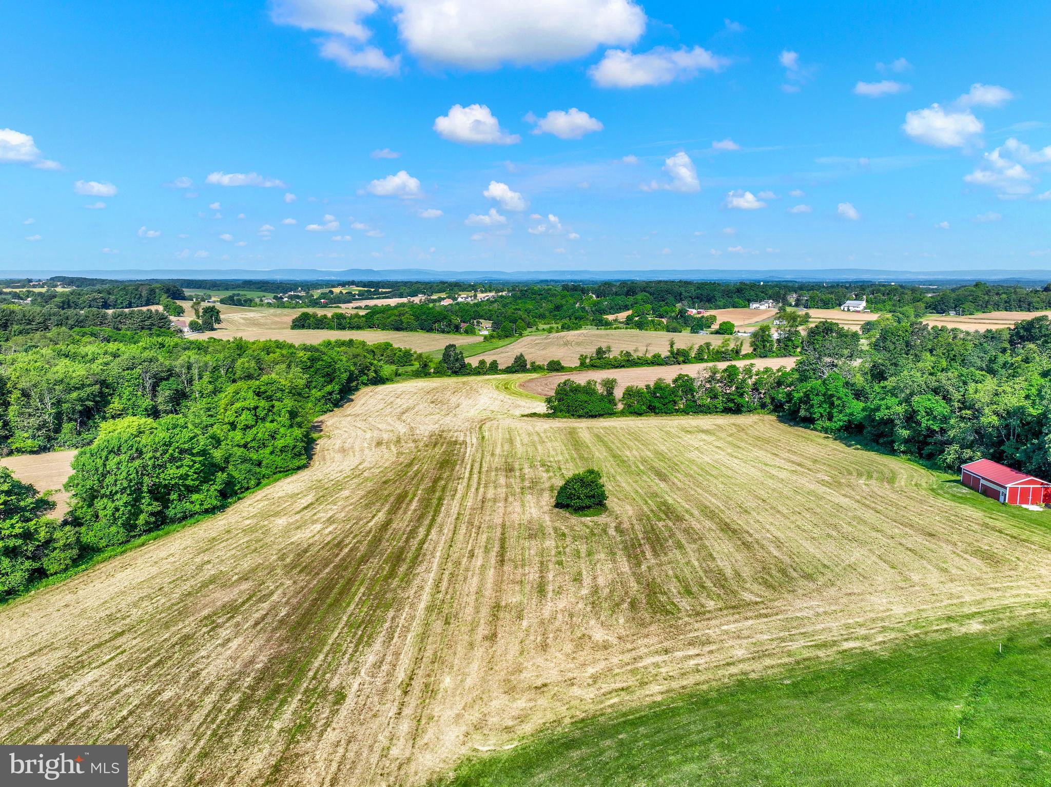 FARM - Farm
