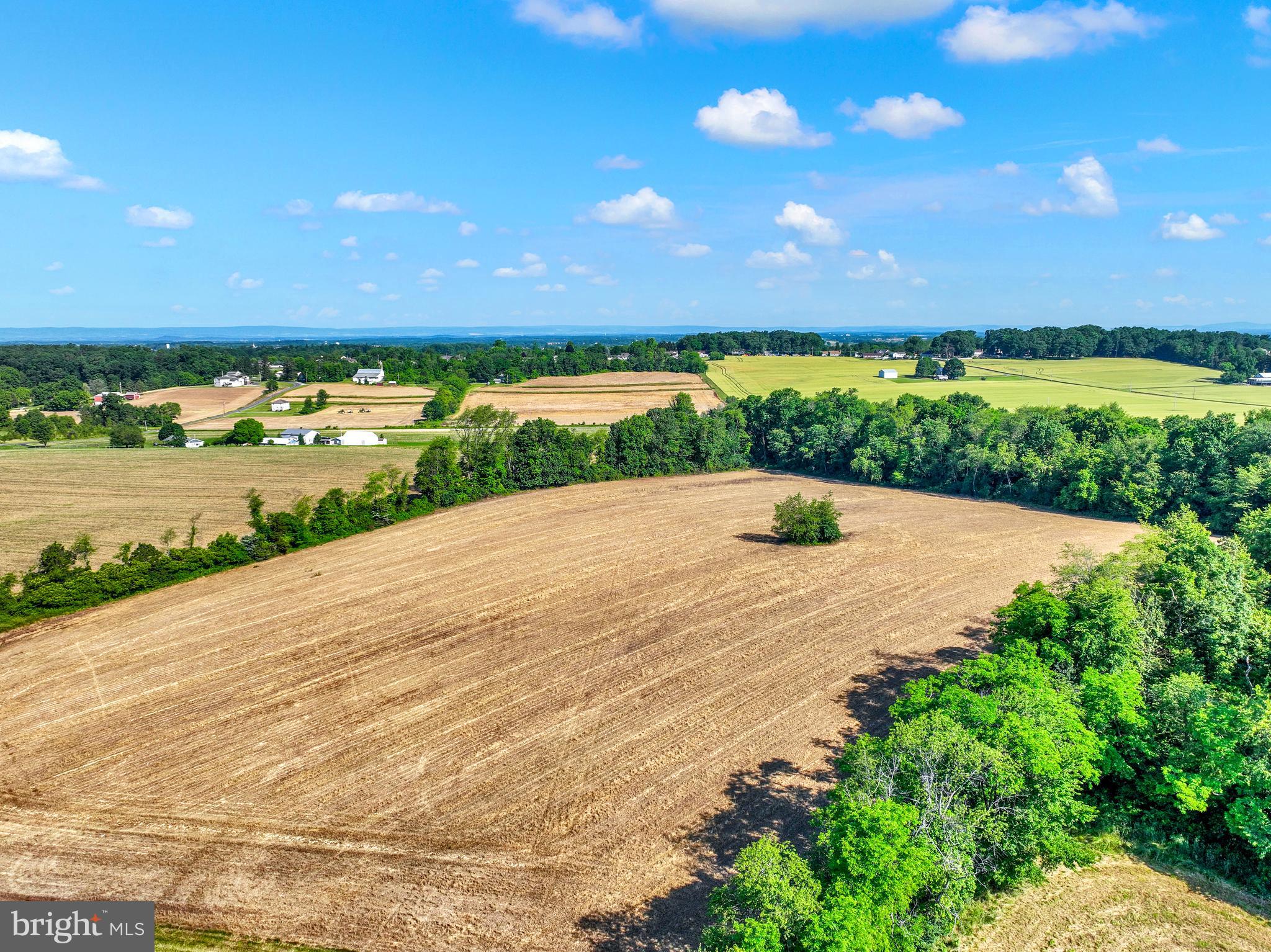 FARM - Farm