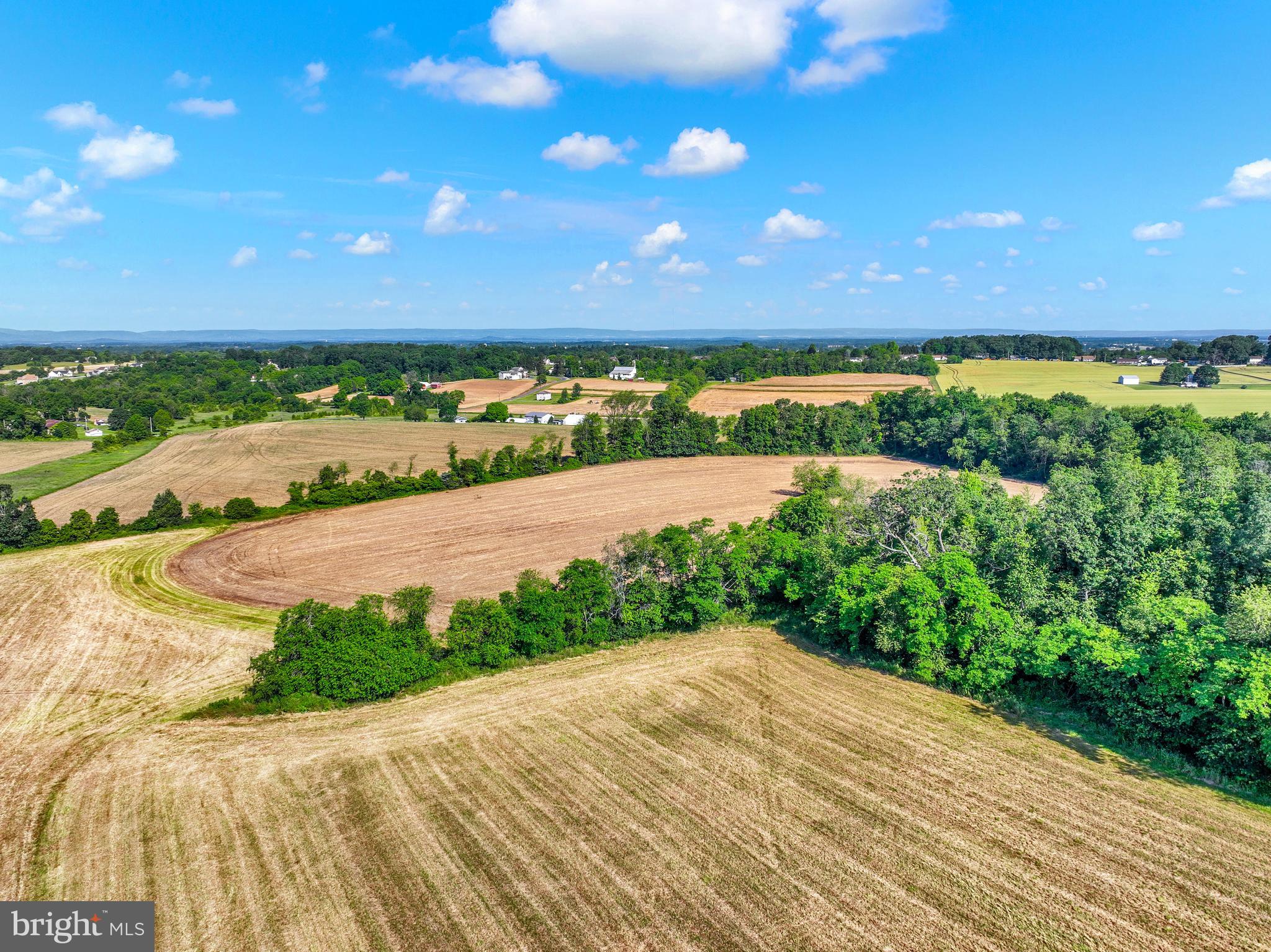 FARM - Farm