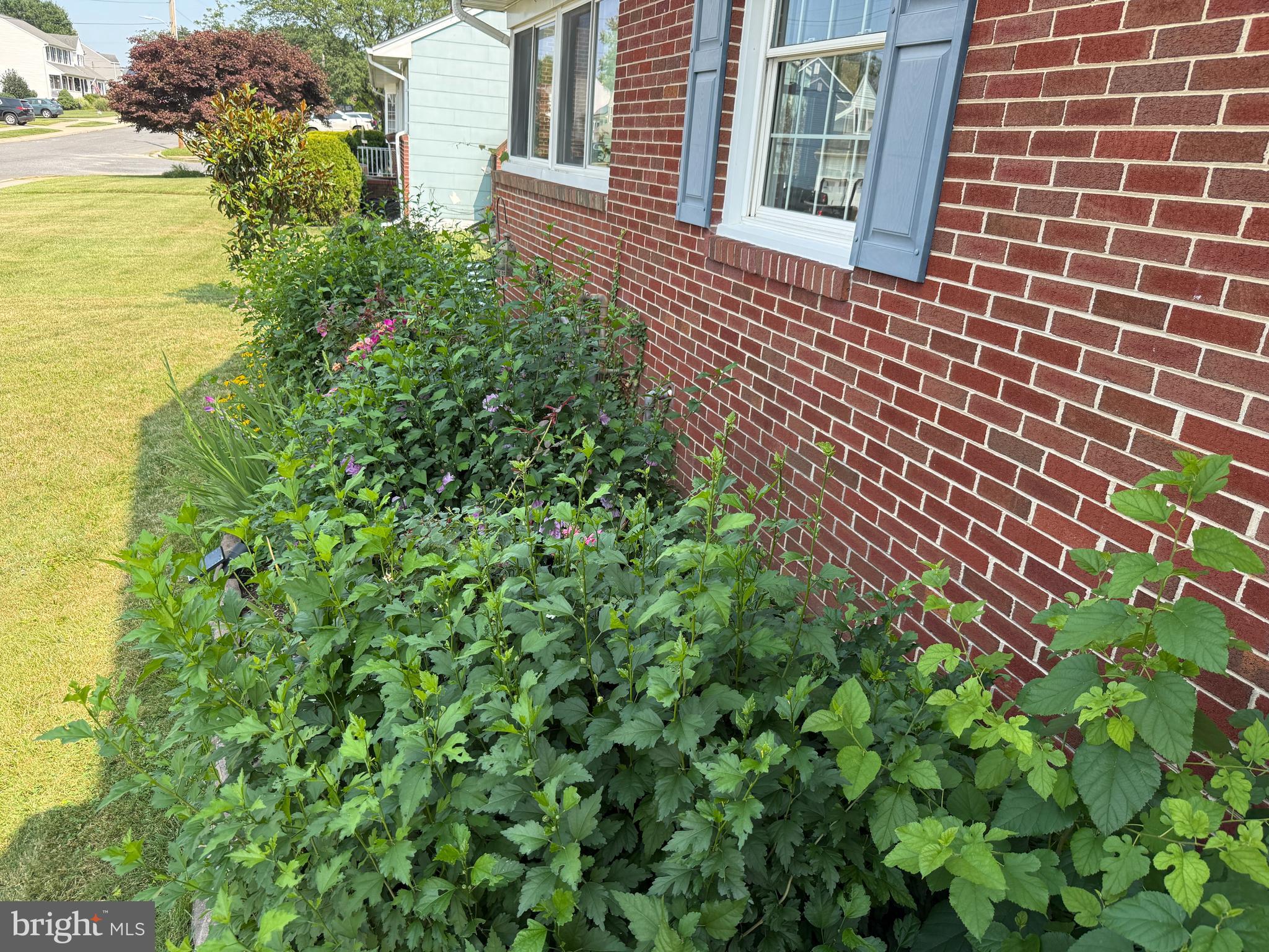 LINTHICUM HEIGHTS - Residential