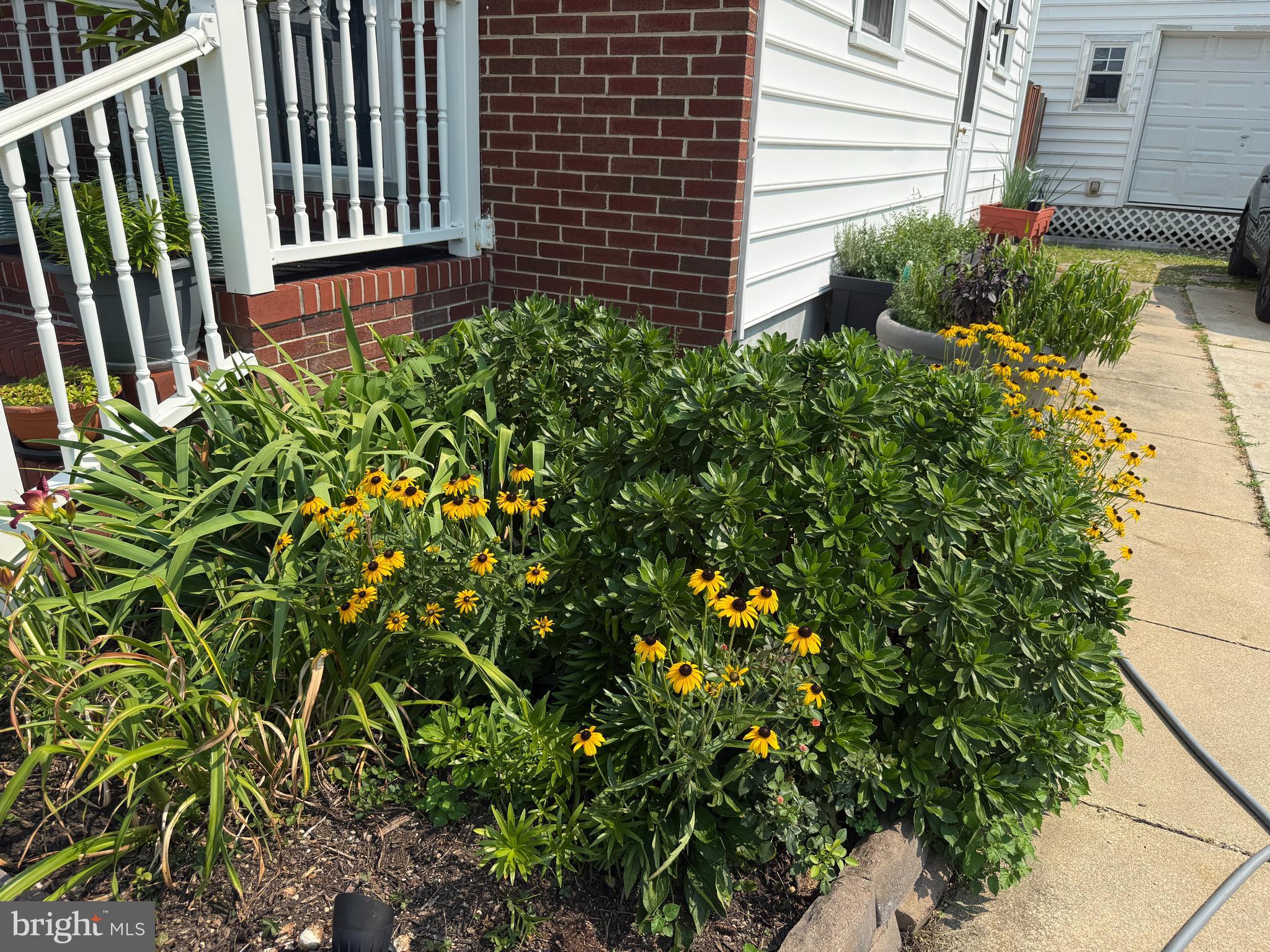 LINTHICUM HEIGHTS - Residential