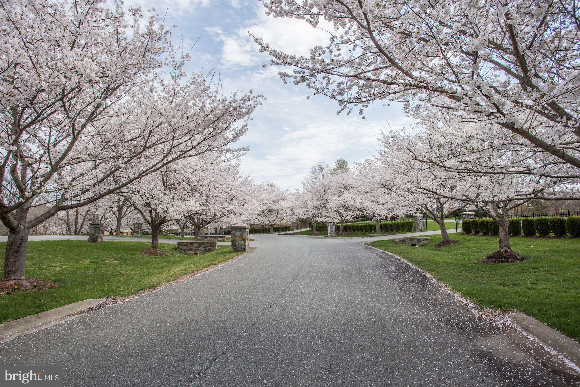 SADDLE RIDGE - Residential