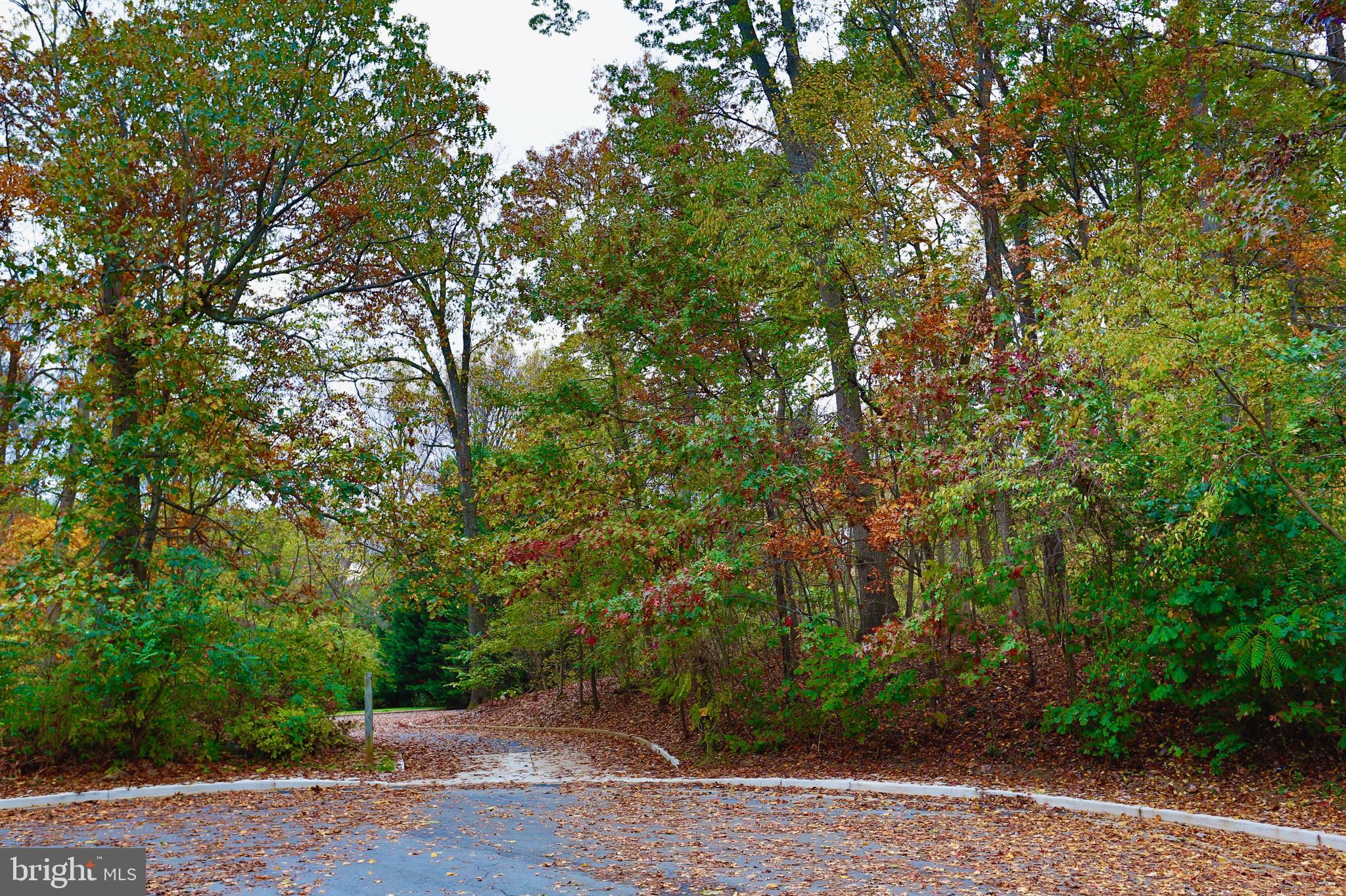CARTER HILL - Residential